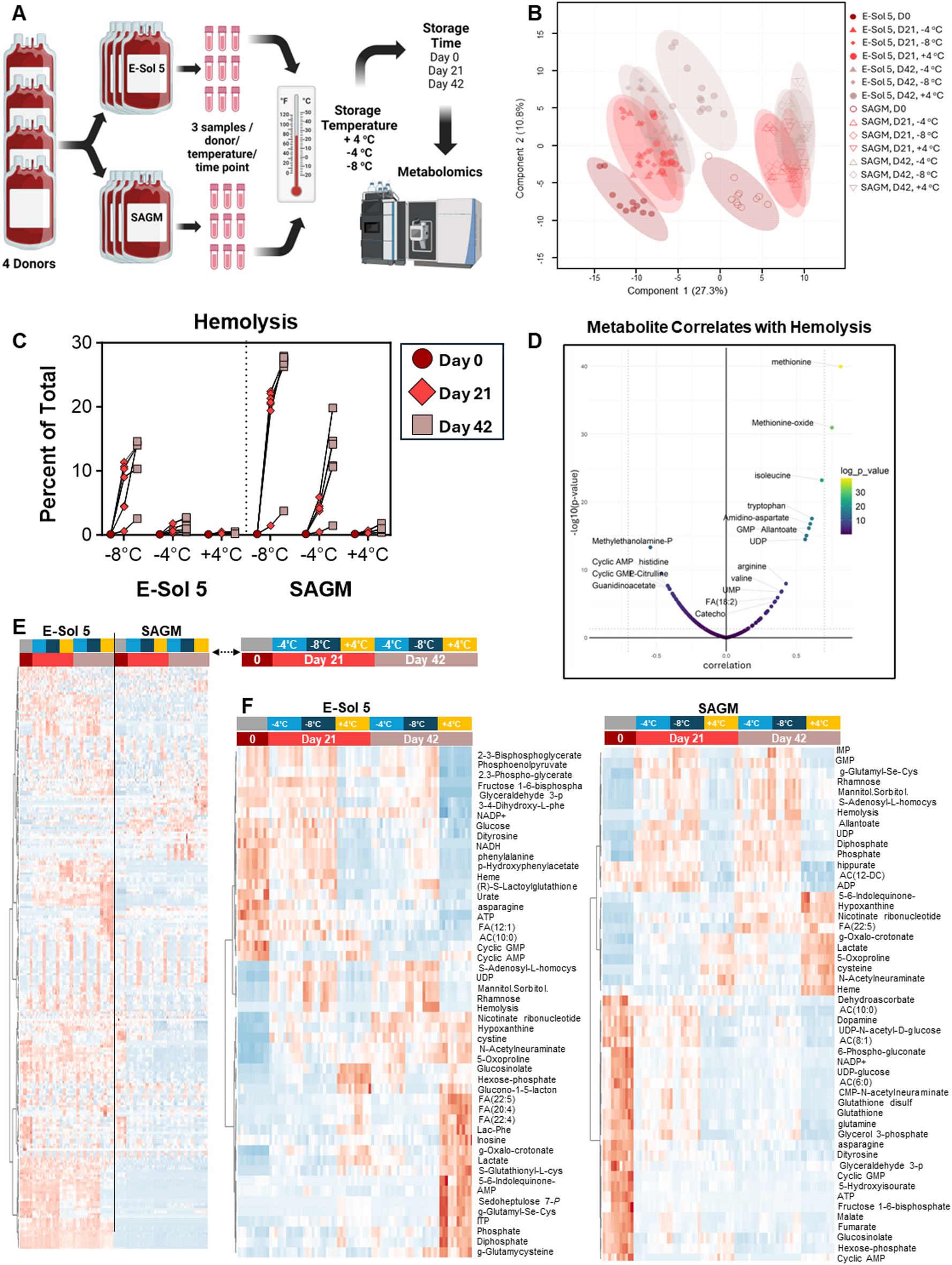 Supercooled storage of red blood cells slows down the metabolic storage  lesion