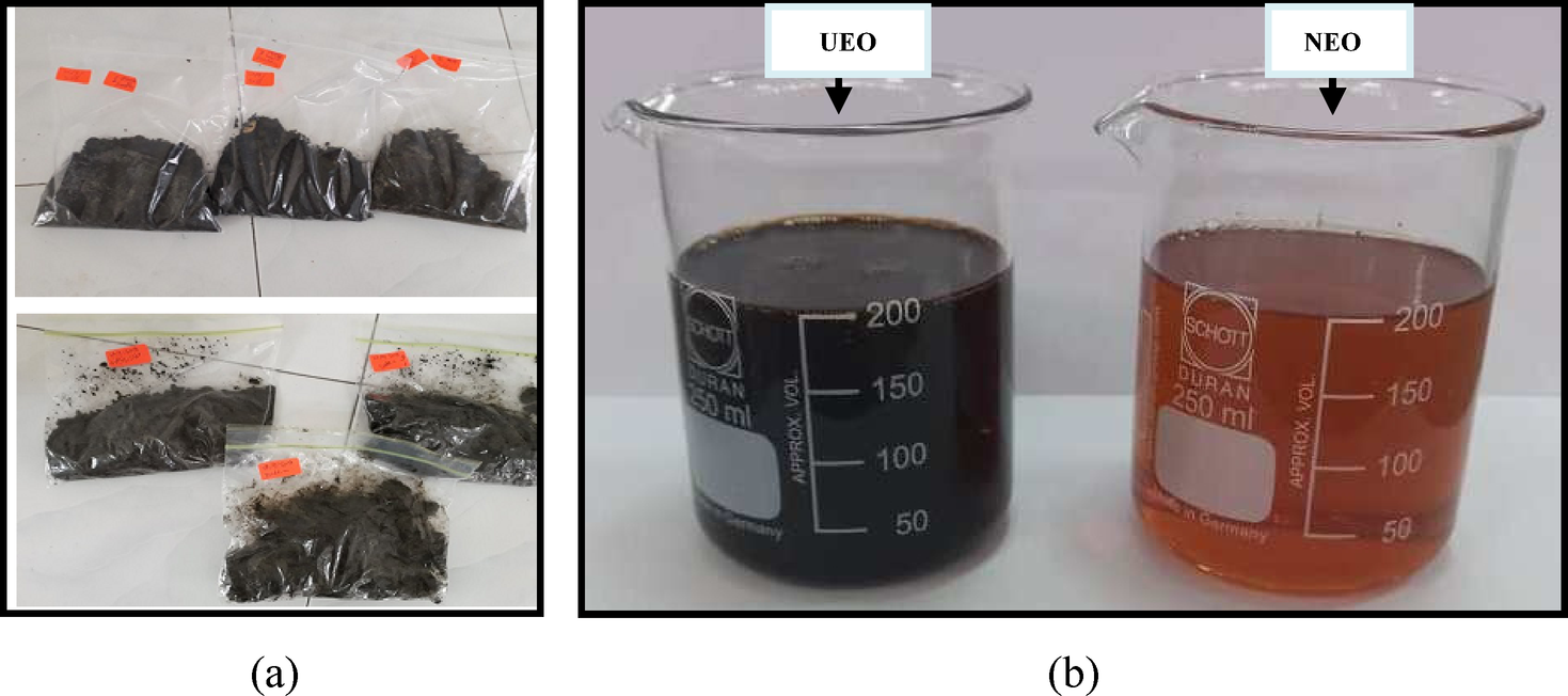 Study on biodegradation of used engine oil in a stirred batch bioreactor by  ochrobactrum intermedium and Bacillus paramycoides isolates | Scientific  Reports