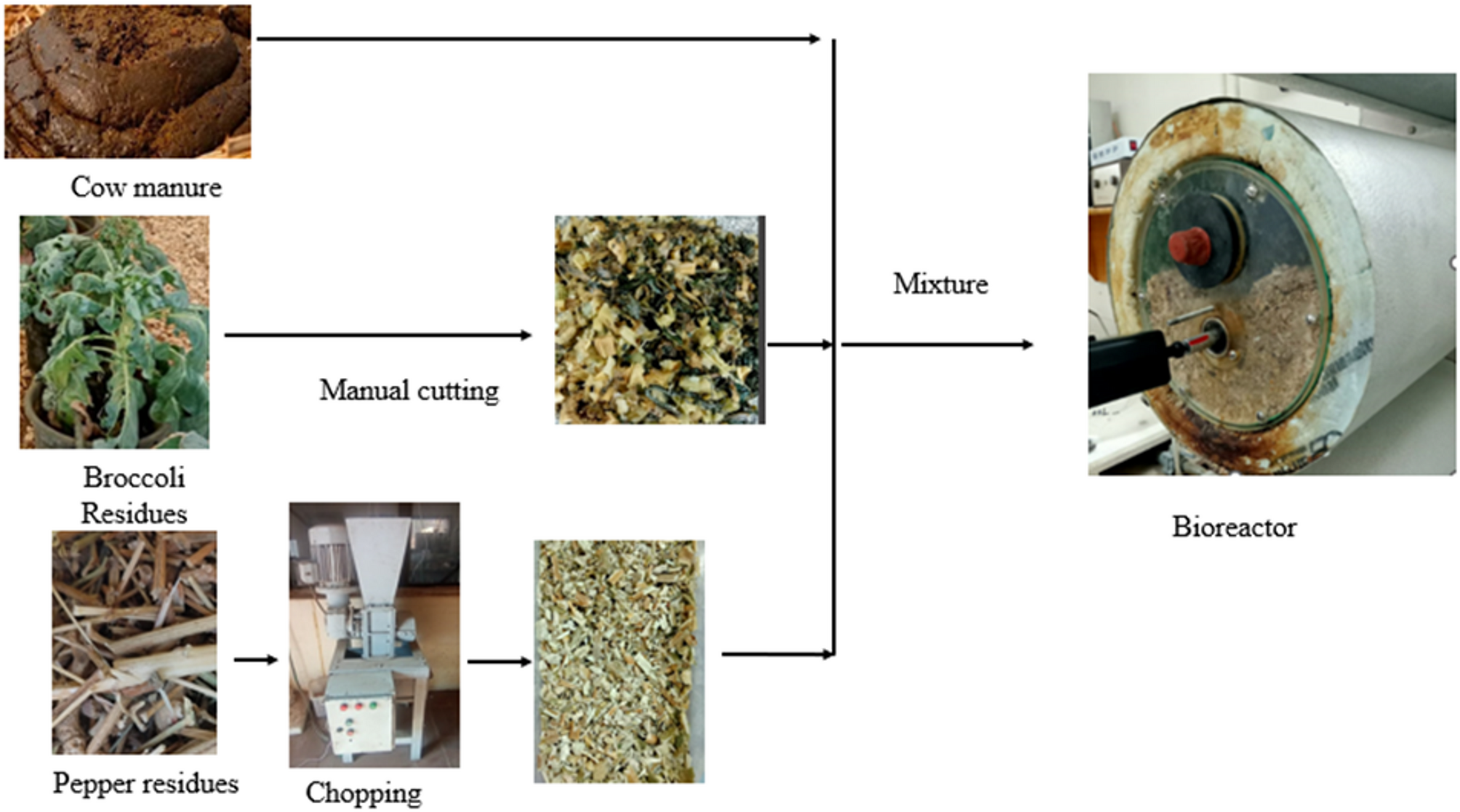 Mitigating greenhouse gas emissions and enhancing composting efficiency  using biochar, used oil, and compost inoculum amendments | Scientific  Reports