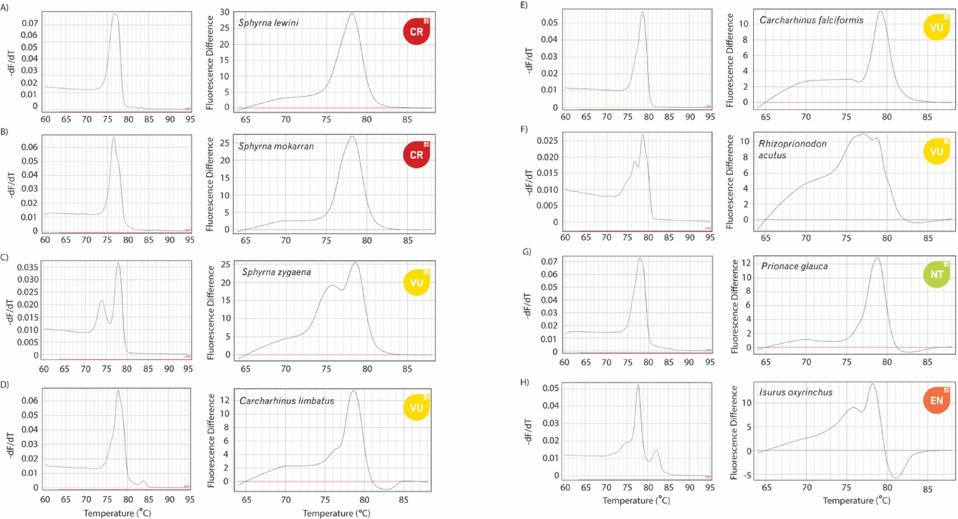 違法な漁業取引を削減するための研究（Researchers Aim to Take a Bite Out of Illegal Fish Trade）