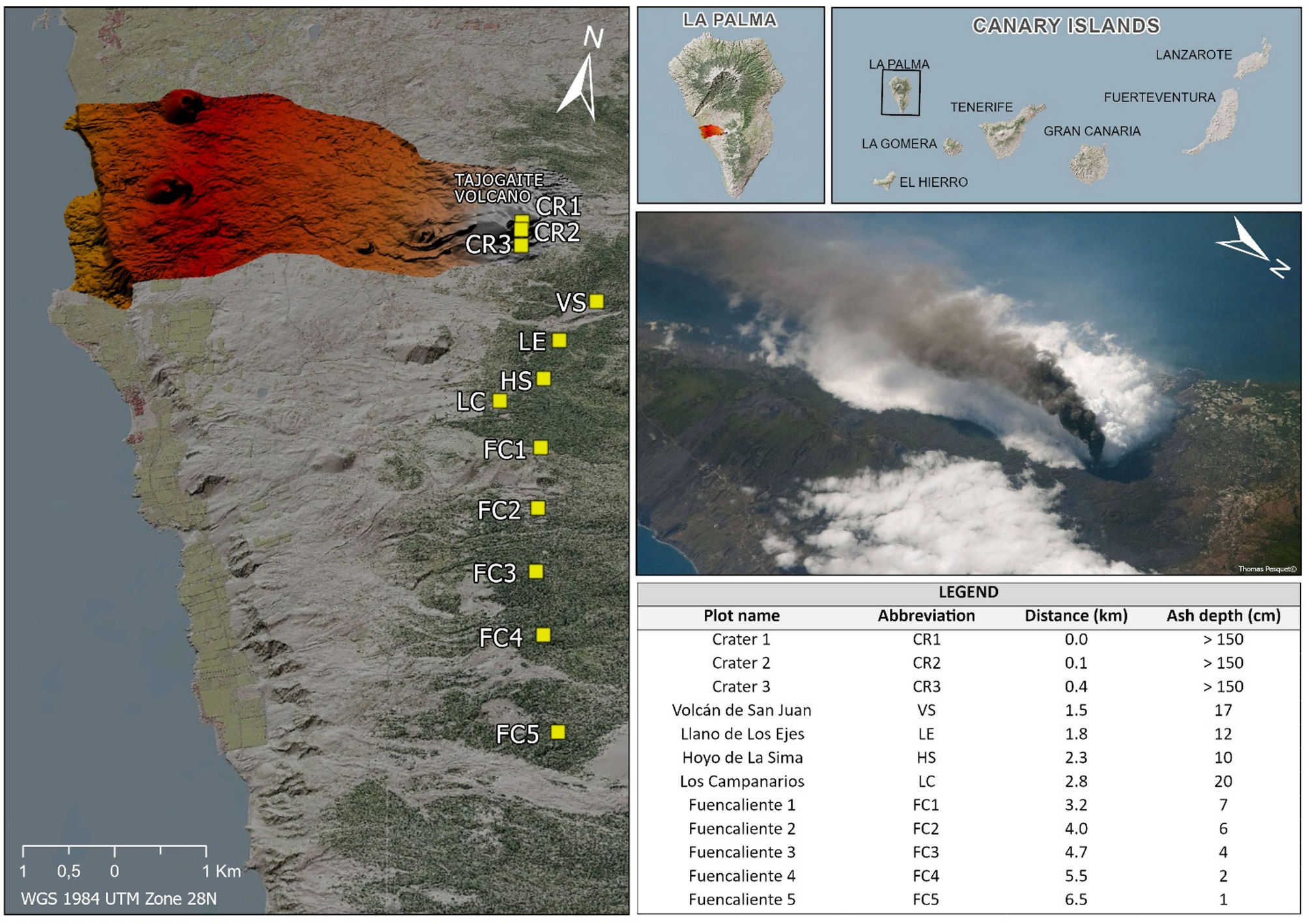 Ecological resilience and biodiversity dynamics of an Island forest  following a volcanic eruption | Scientific Reports, image size:2008x1419