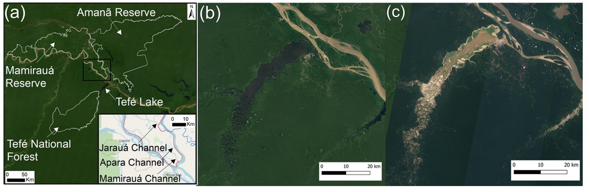 Unprecedented social-ecological impacts of the 2023 extreme drought in the  central Amazon | Scientific Reports