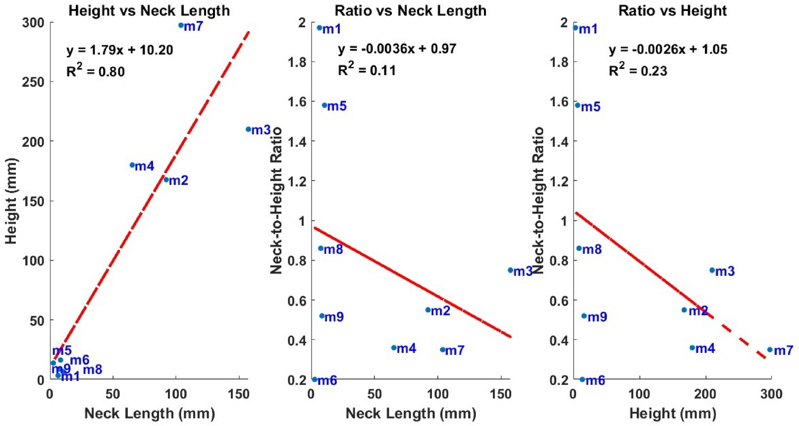 Hemodynamic characteristics and drug deposition in cerebral aneurysm sac