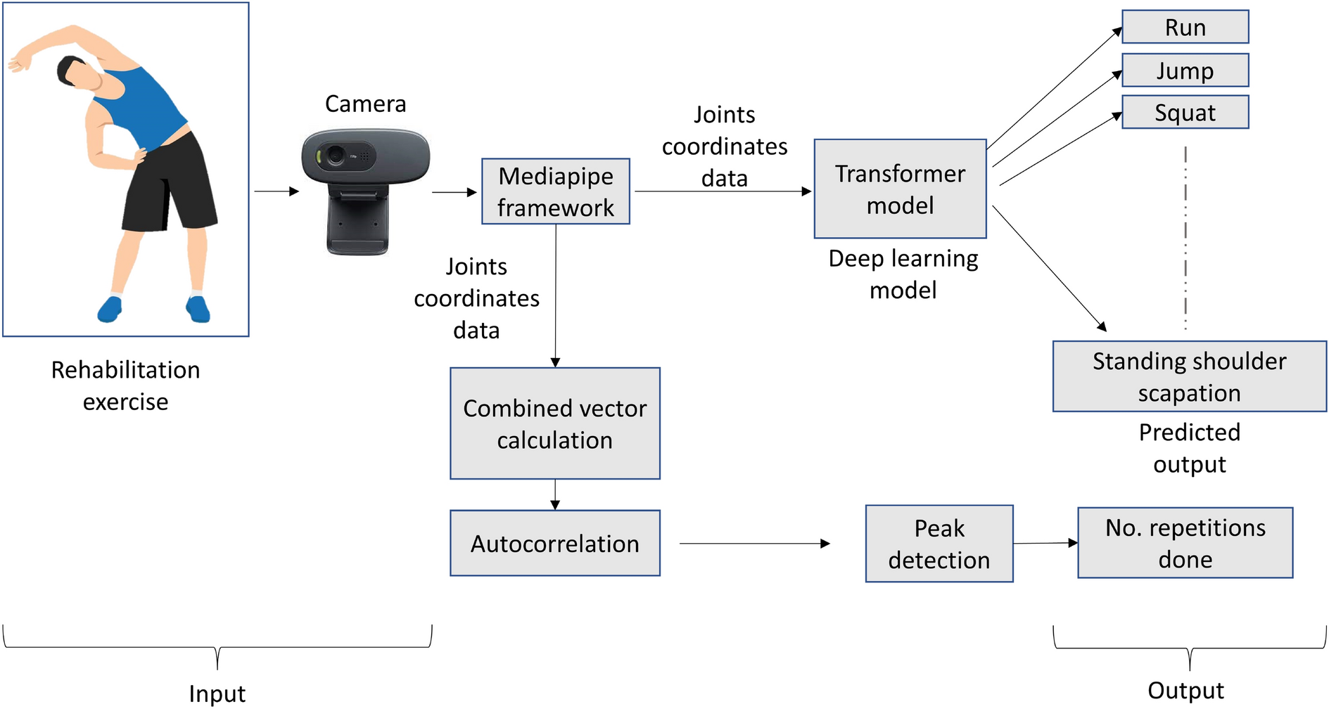 Towards an RGB camera-based live repetition counter using auto correlation  with action recognition for home rehabilitation | Scientific Reports