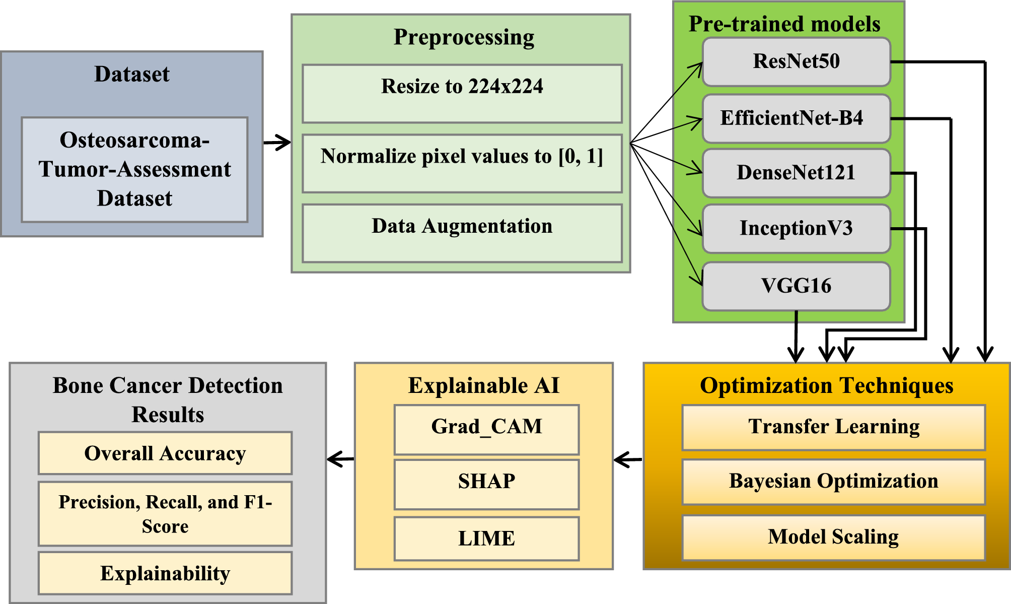 Enhancing bone cancer detection through optimized pre trained deep learning  models and explainable AI using the osteosarcoma tumor assessment dataset |  Scientific Reports