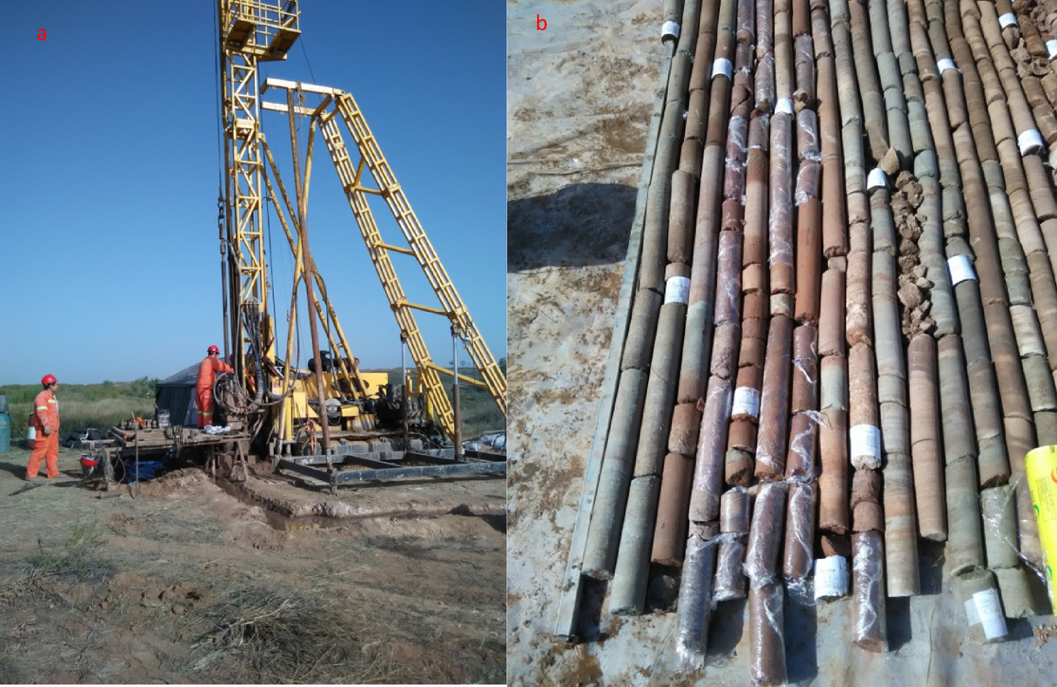 Effects of diagenetic stage and burial depth on the microstructure and  mechanical properties of coal-bearing sandstones | Scientific Reports