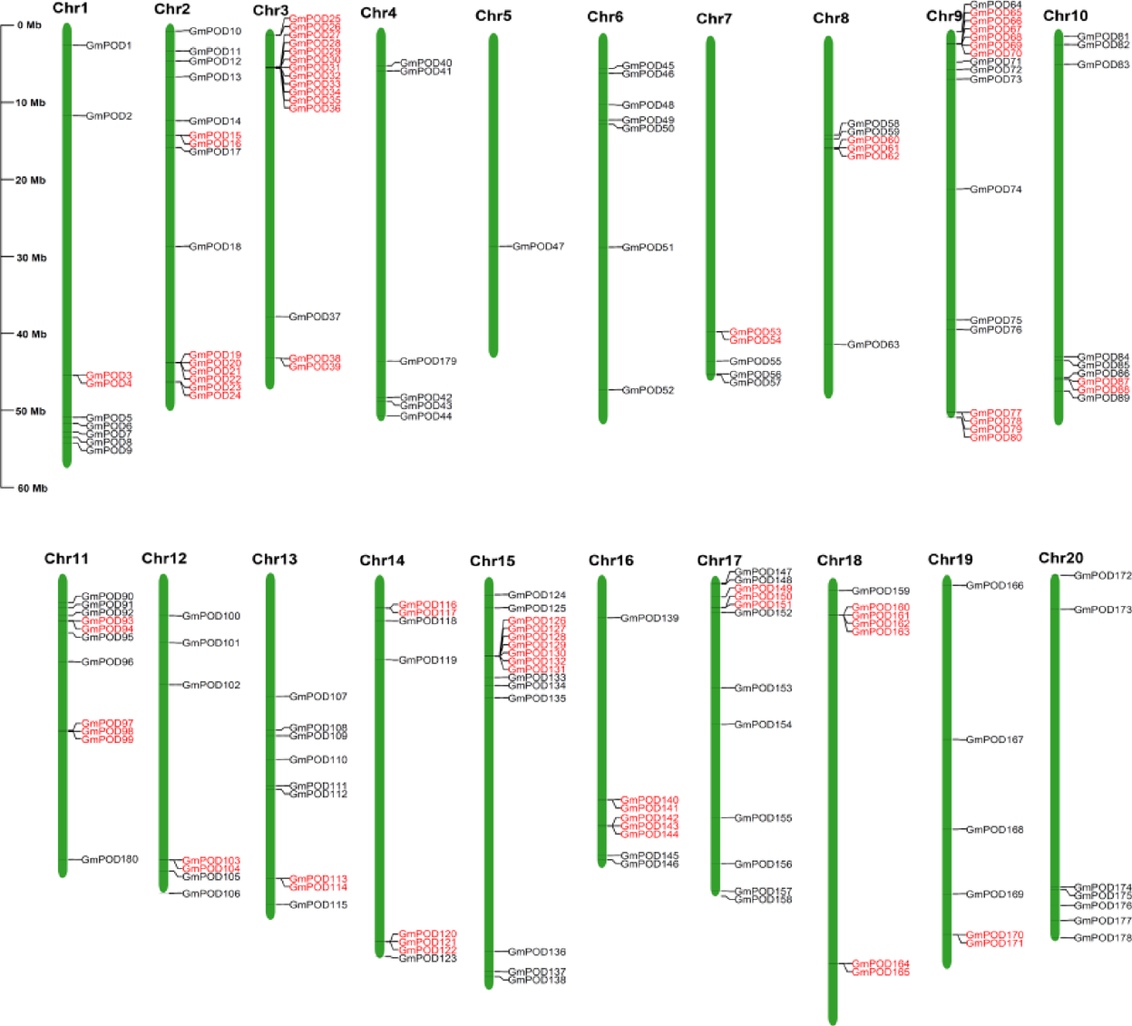 Genome-wide analysis of class III peroxidase gene family in Glycine max and  functional roles in stress response | Scientific Reports