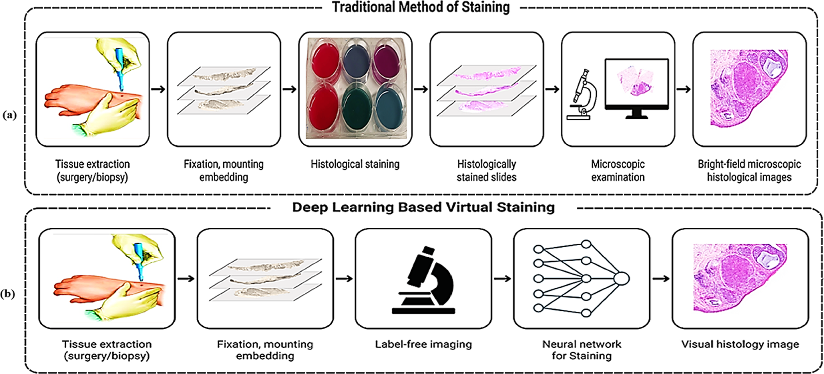 VISGAB: Virtual staining-driven GAN benchmarking for optimizing skin tissue histology