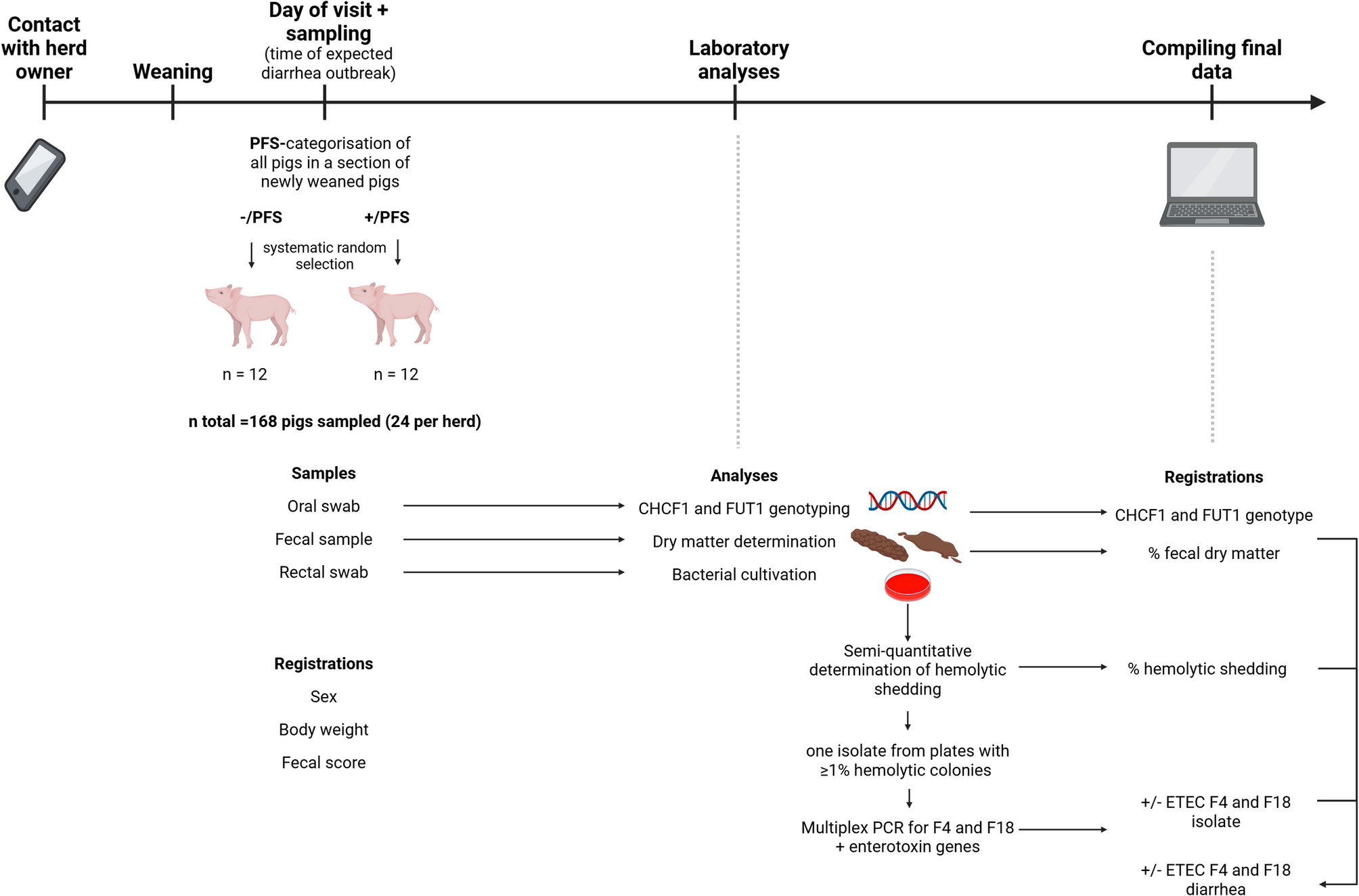 Outbreaks of post-weaning diarrhea caused by ETEC F4 are strongly associated with CHCF1 genotype in Danish pigs