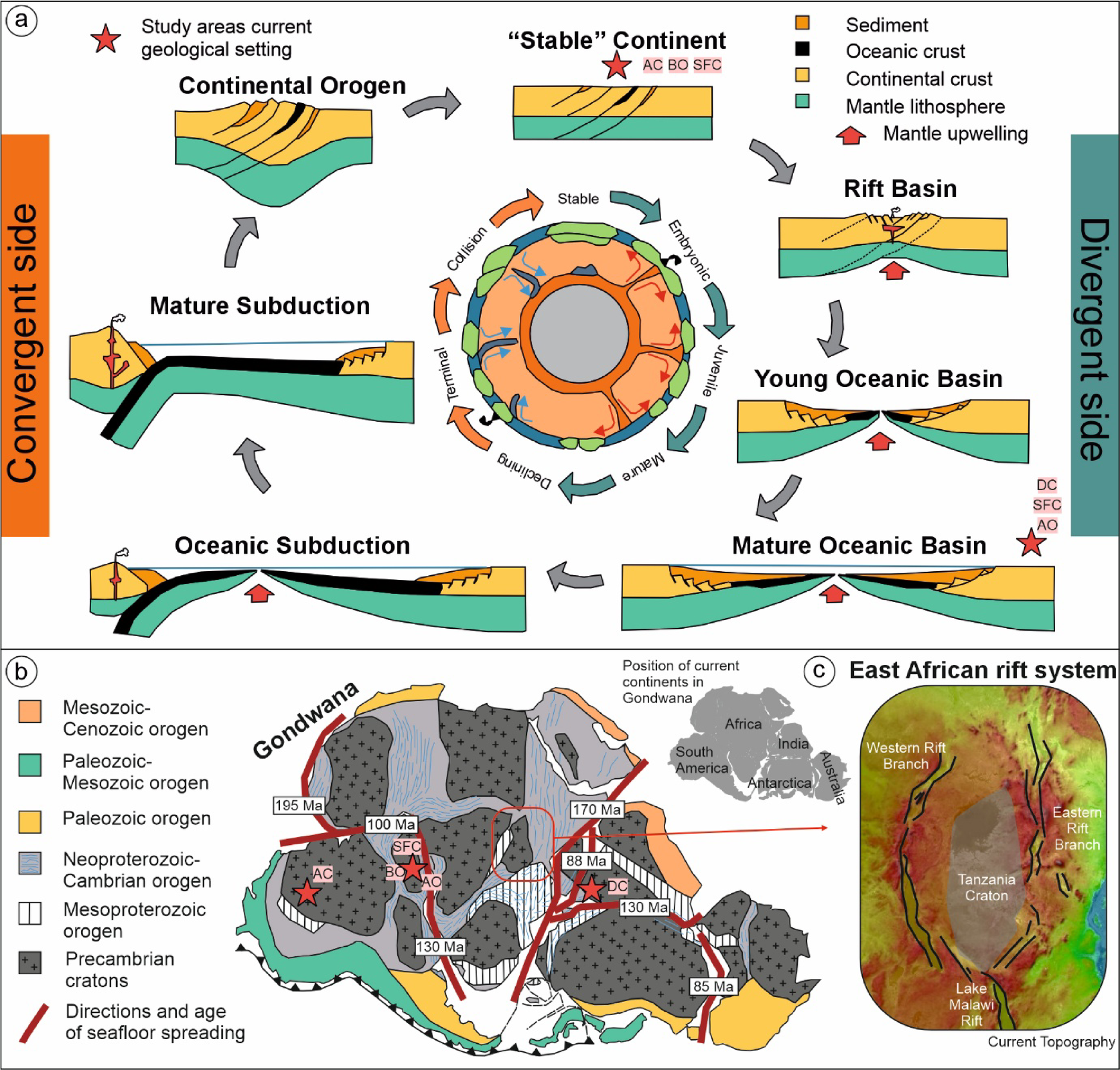 Intraplate deformation of Gondwana terranes and implications for 