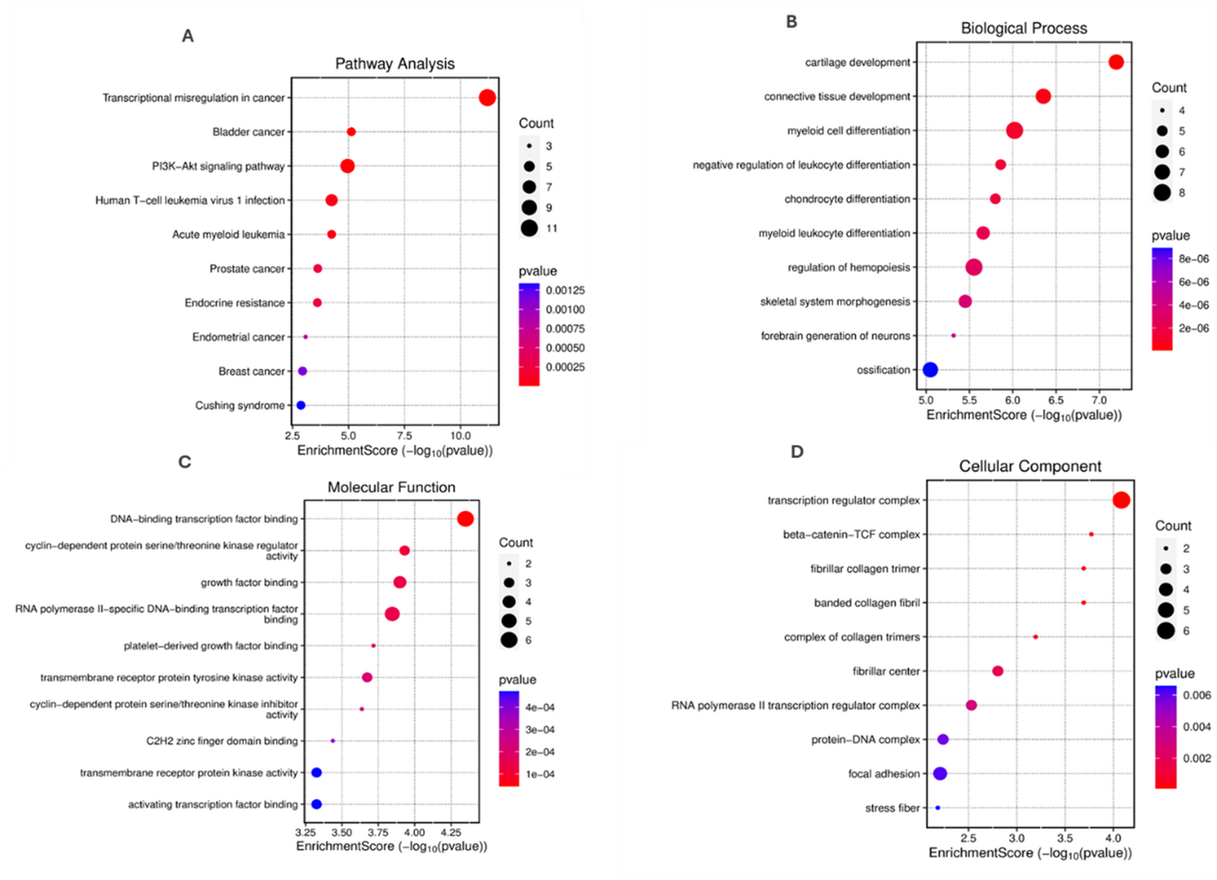 Figure 5. Dot plot showing the enrichment analysis of pathways and gene ontologies