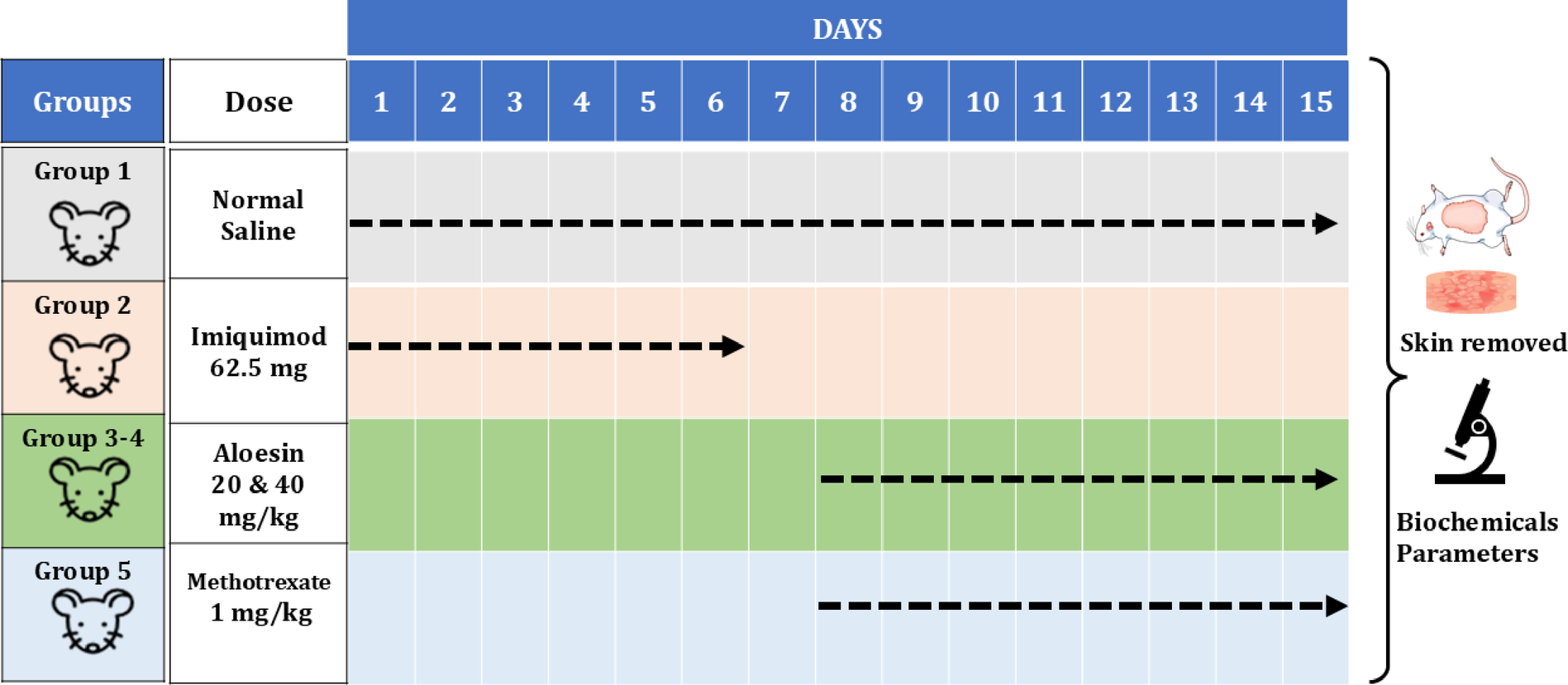 Aloesin alleviates imiquimod-induced psoriasis in dermal layers through inhibition of interleukins and NF-κB signaling pathways