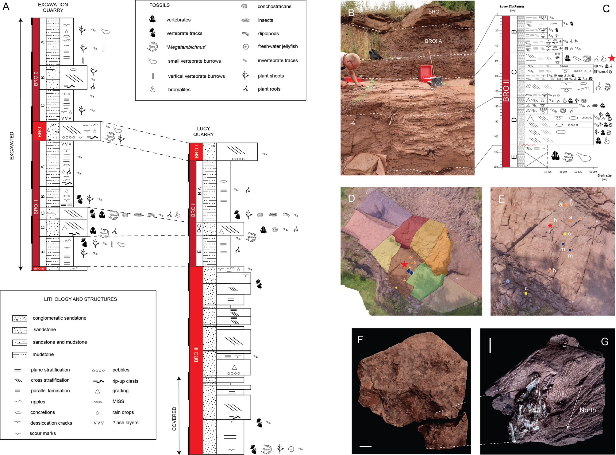 化石化した嘔吐物から恐竜前駆生物の食性を解明（Fossilised Vomit Reveals the Diet of Dinosaur Predecessors）