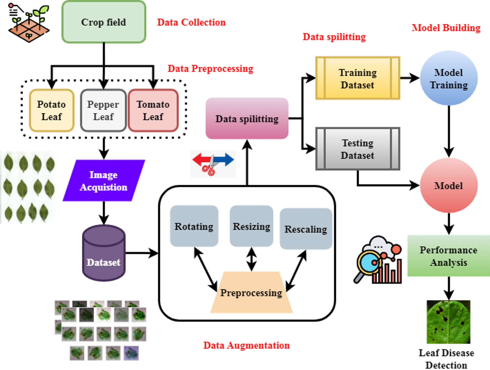 AI based real time disease diagnosis in plants using deep learning driven  CNNs | Scientific Reports