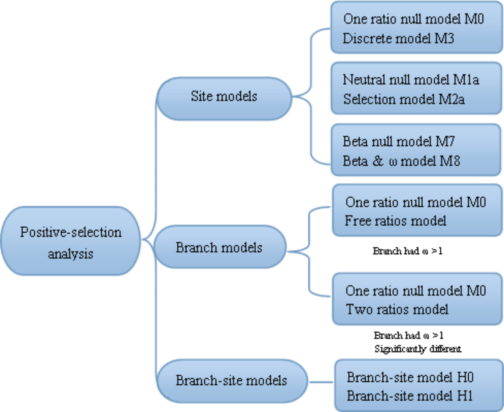 Phylogenetic analysis and detection of positive selection in the SIRT gene  family across vertebrates | Scientific Reports