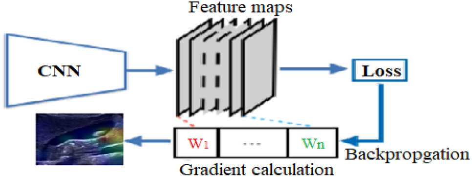 Fig. 9