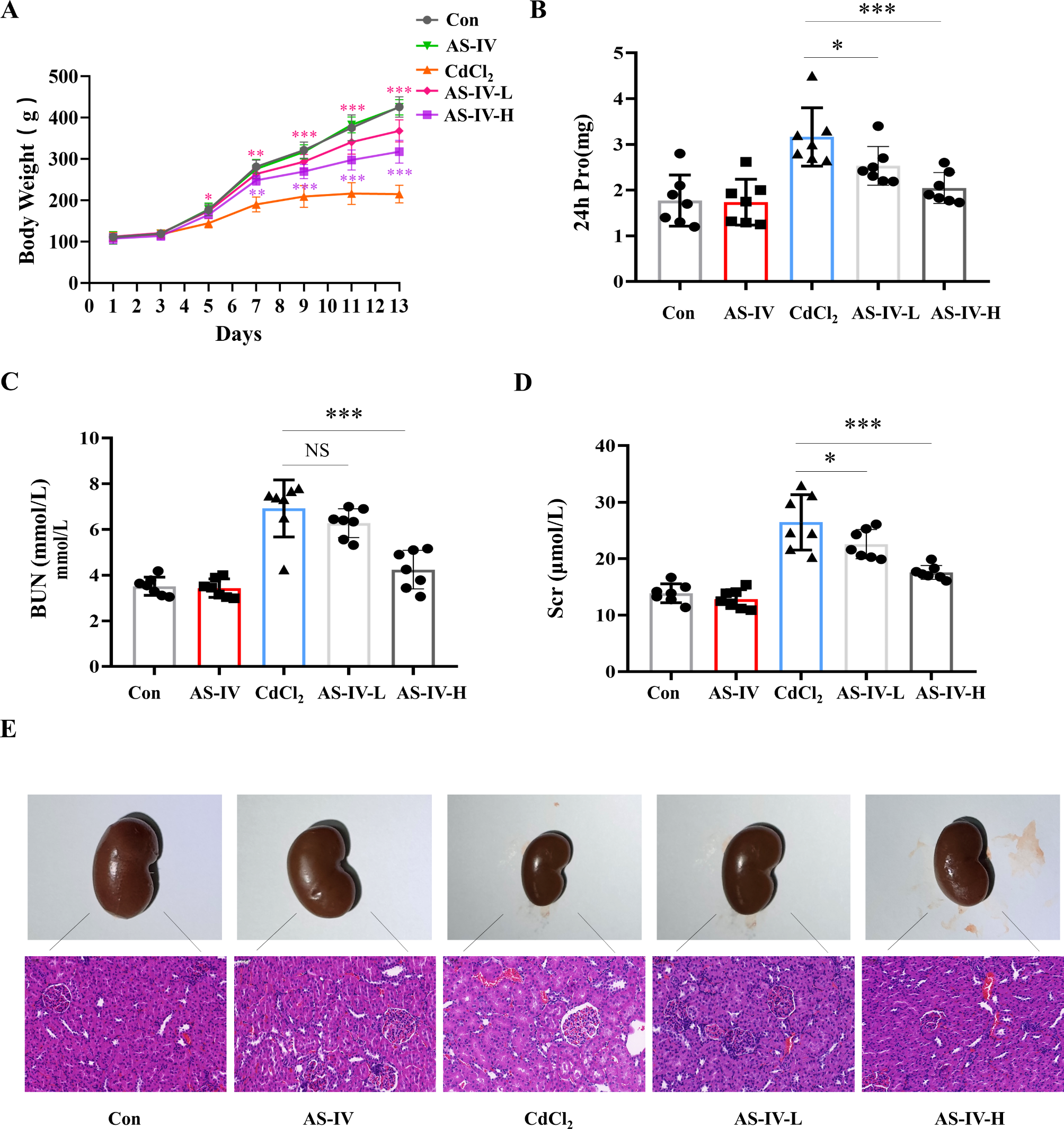 Astragaloside IV attenuates cadmium induced nephrotoxicity in rats by  activating Nrf2 | Scientific Reports