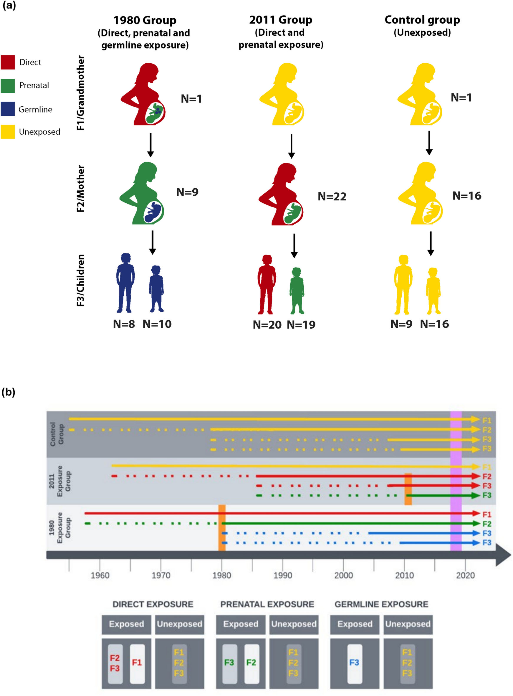 暴力体験が遺伝子に及ぼす影響が世代を超えて持続することを発見 (Violent Experiences Alter the Genome in Ways That Persist for Generations)