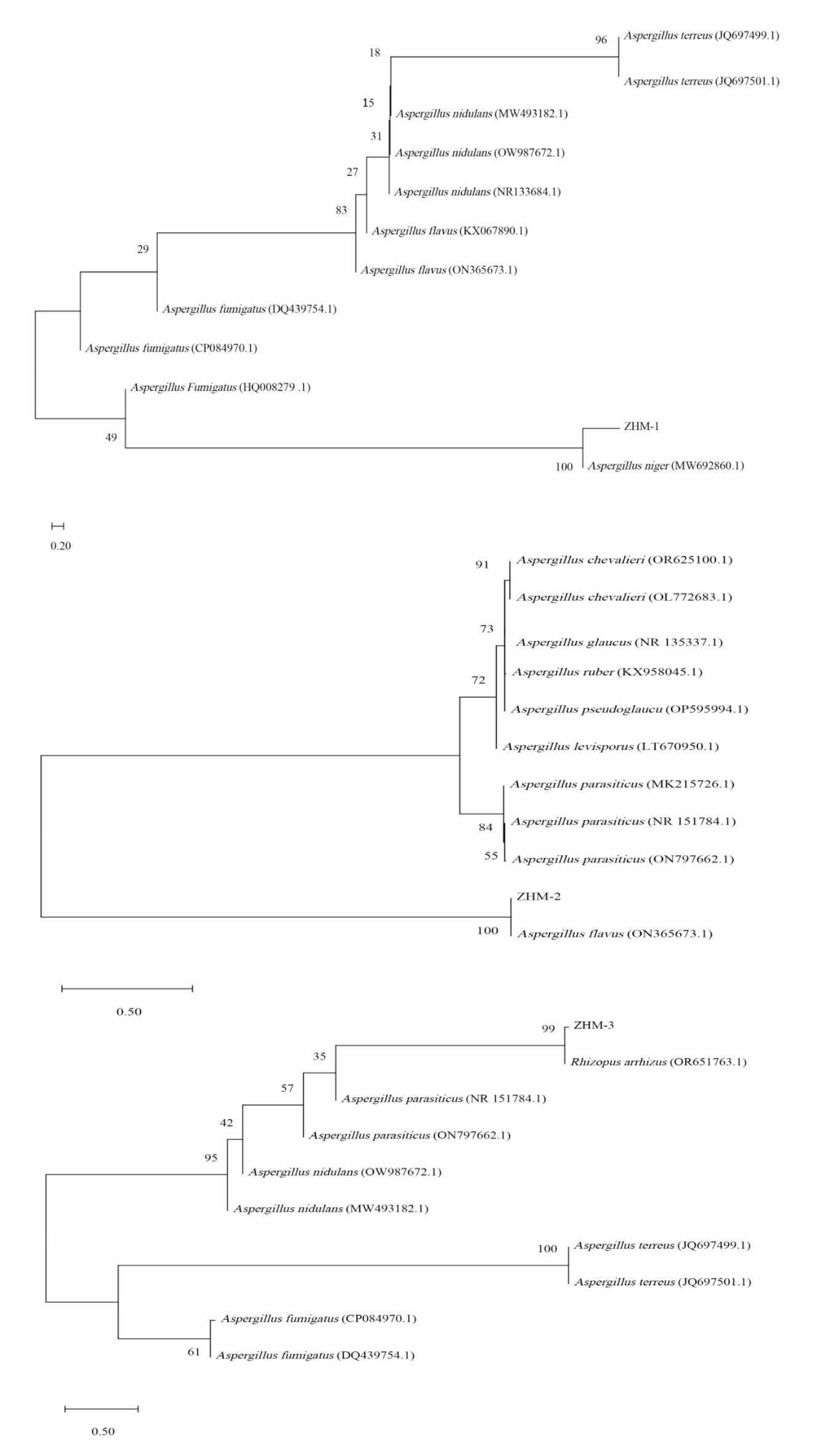 Fig. 2
