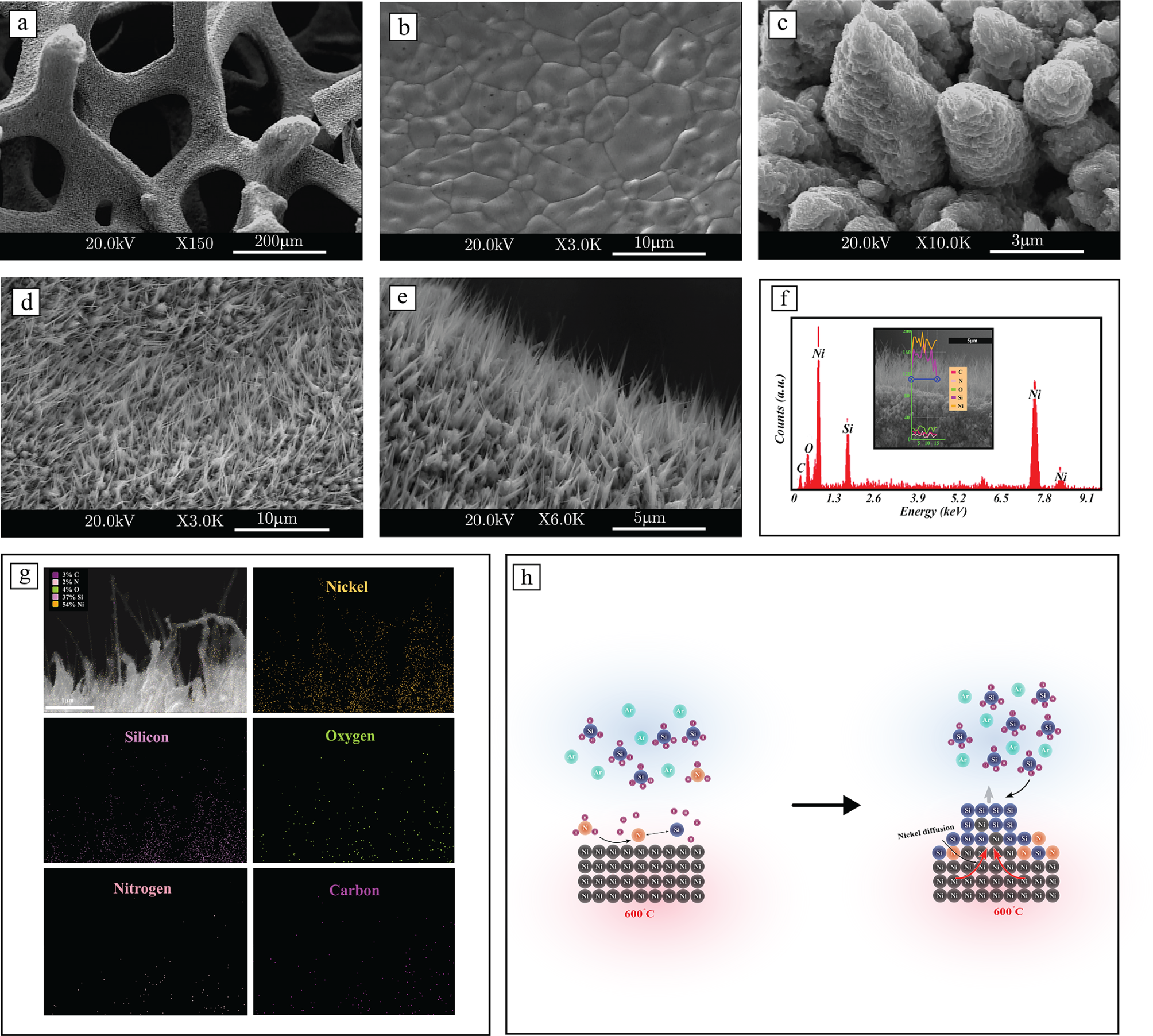 Ni foam sem (99) 사진