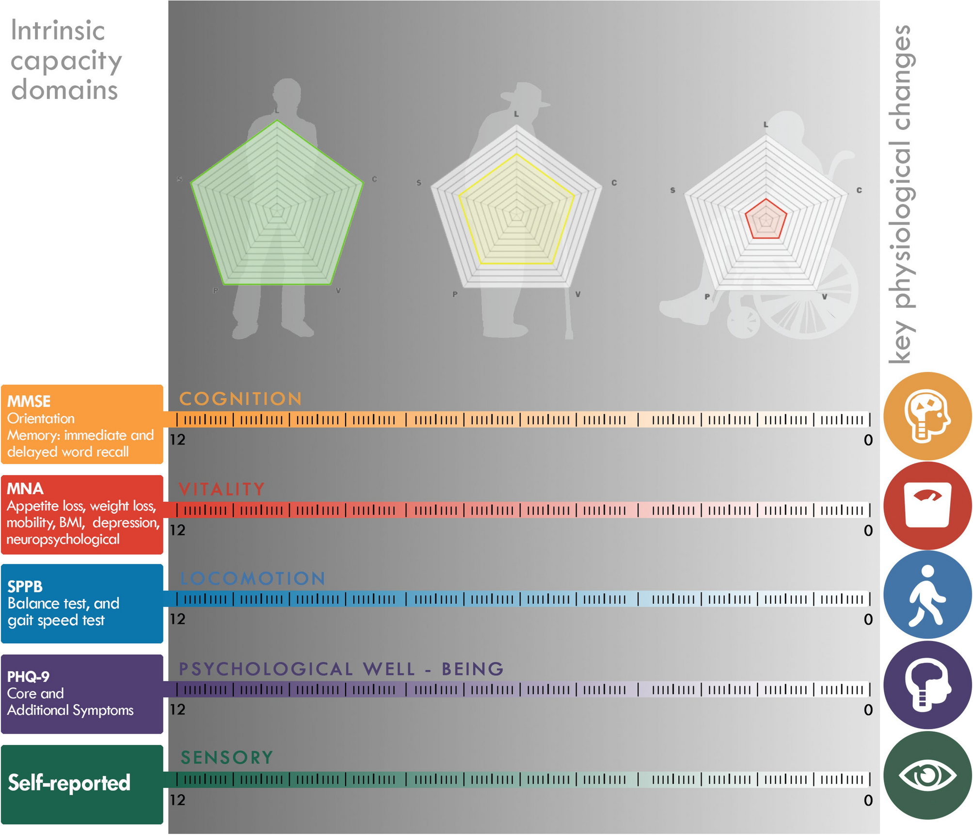 A functional approach to model intrinsic capacity in ageing trajectories |  Scientific Reports