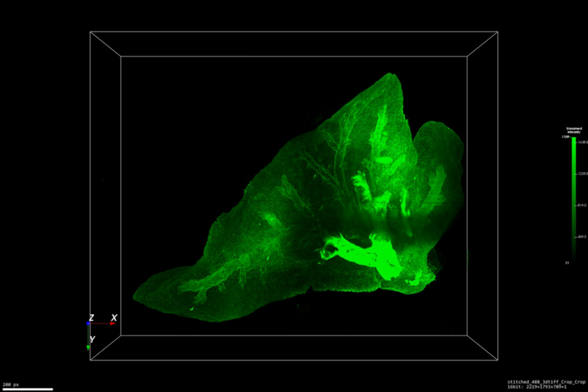 Fig. 7