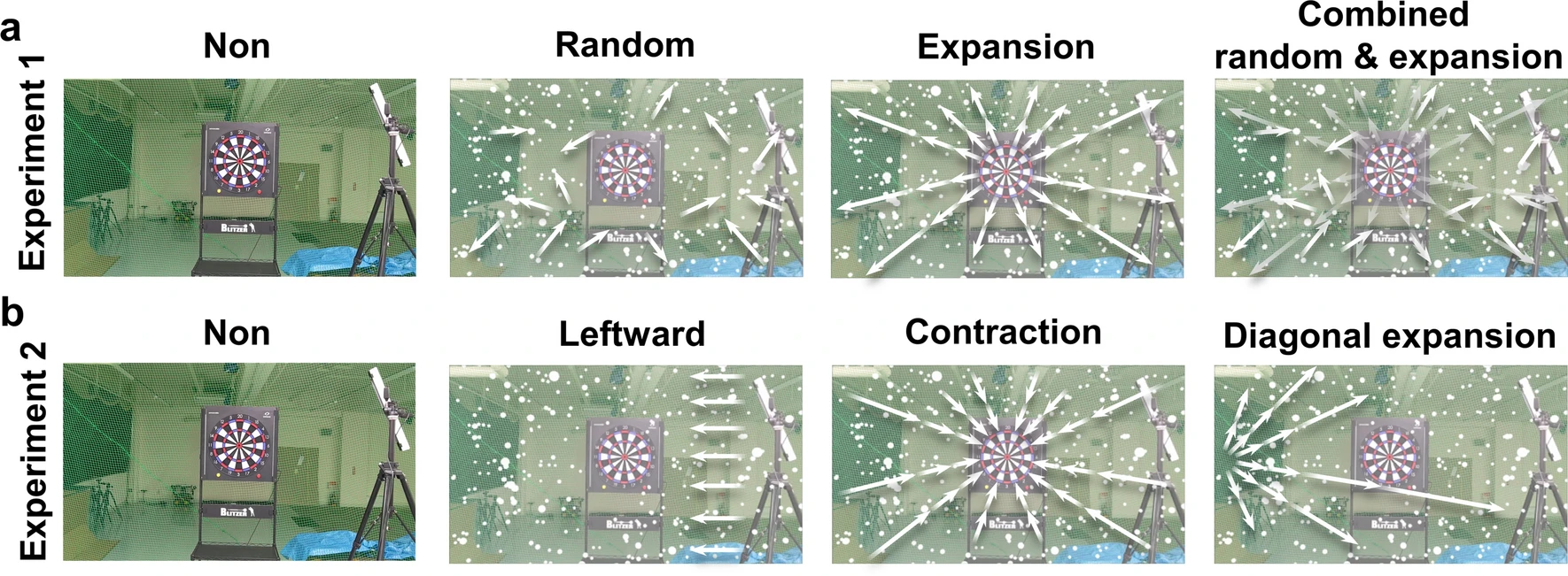 Diagrams showing different patterns of movement in motion spheres used for a research study