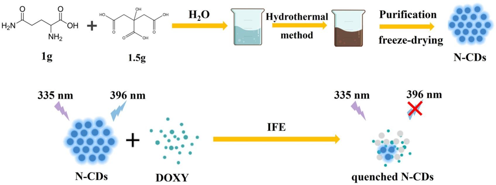 Effectively detect doxycycline in variable sample fields through simple  fluorescence strategy using nitrogen doped carbon dots as probe