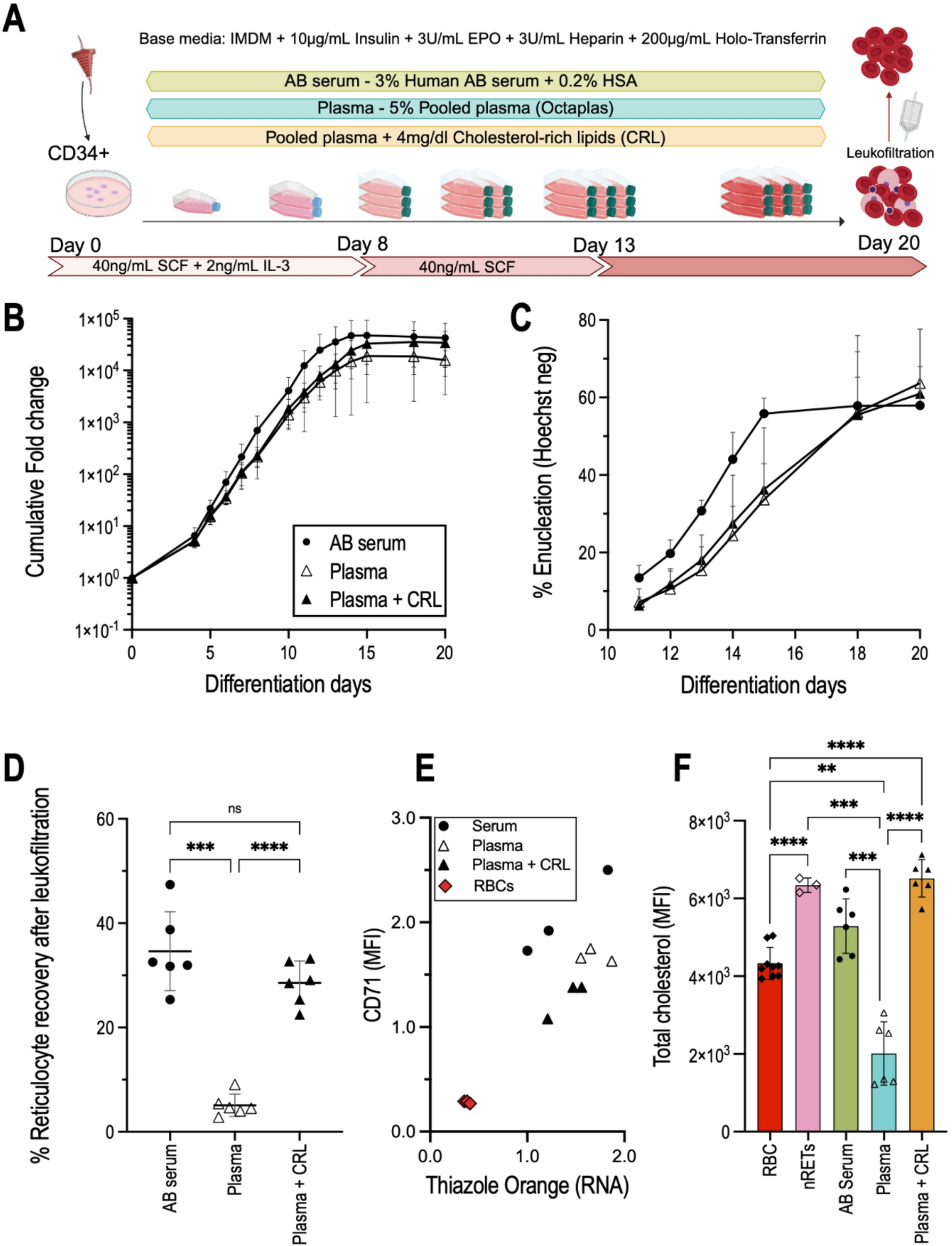 Choice of lipid supplementation for in vitro erythroid cell culture impacts  reticulocyte yield and characteristics | Scientific Reports