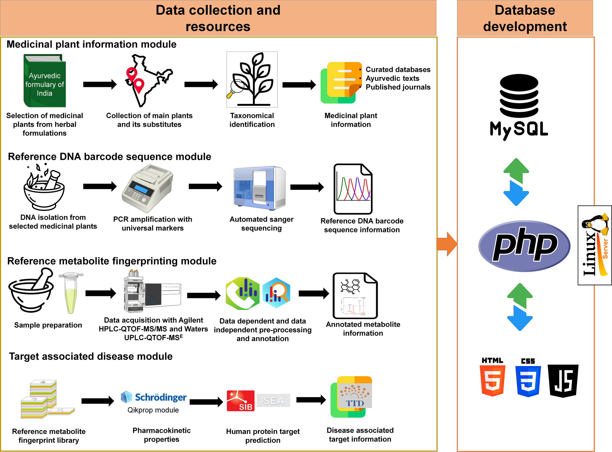 CDMMM: a comprehensive platform of traditional Indian medicinal plant DNA barcodes and metabolite fingerprints database | Scientific Reports