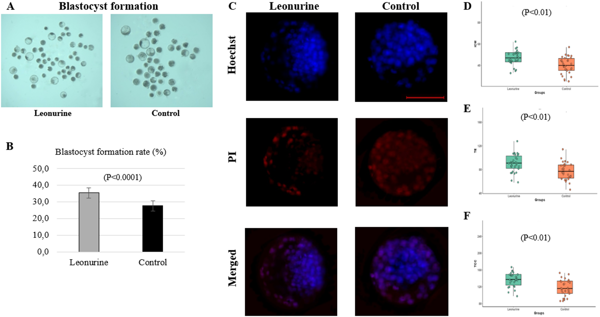 glutathione mlm Effects of leonurine supplementation during in vitro culture on oxidative  stress, cell proliferation, apoptosis, and autophagy in bovine embryos