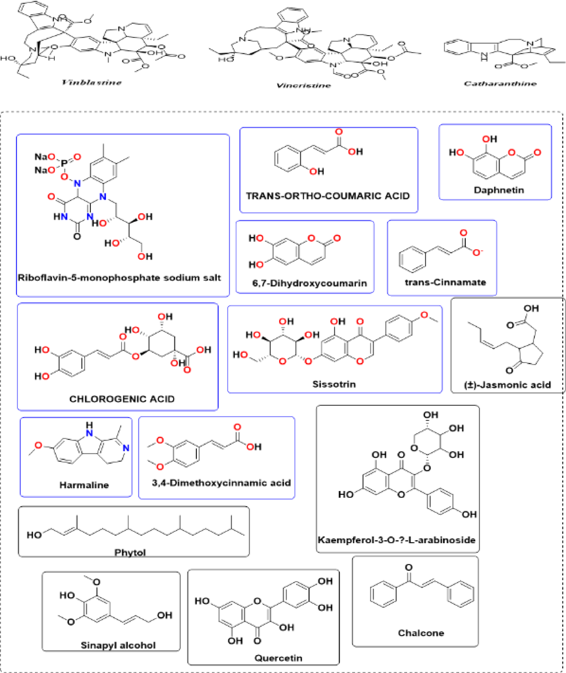 Phytochemical-mediated green synthesis of selenium nanoparticles using  Catharanthus roseus and their physicochemical characterization, biological  evaluation, and molecular docking analysis