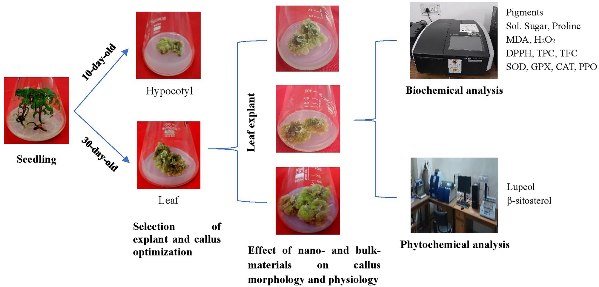 10 mm reduced glutathione recipe Purification using Sepharose High Performance, Glutathione Sepharose 4 Fast Flow, and Glutathione Sepharose 4B Healthy Chicken Marsala Recipe