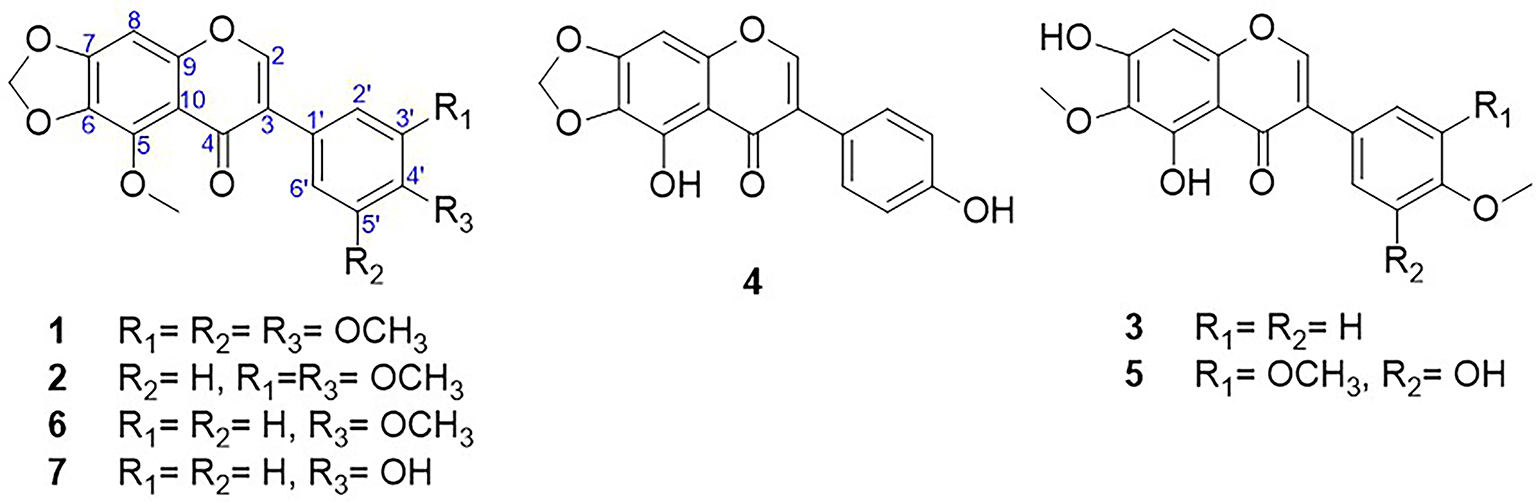 Isoflavonoids from Iris albicans as a carbon source to enhance the anti-aging potential of lactic acid bacteria-derived postbiotics Isoflavonoids from Iris albicans as a carbon source to enhance the anti-aging potential of lactic acid bacteria-derived postbiotics