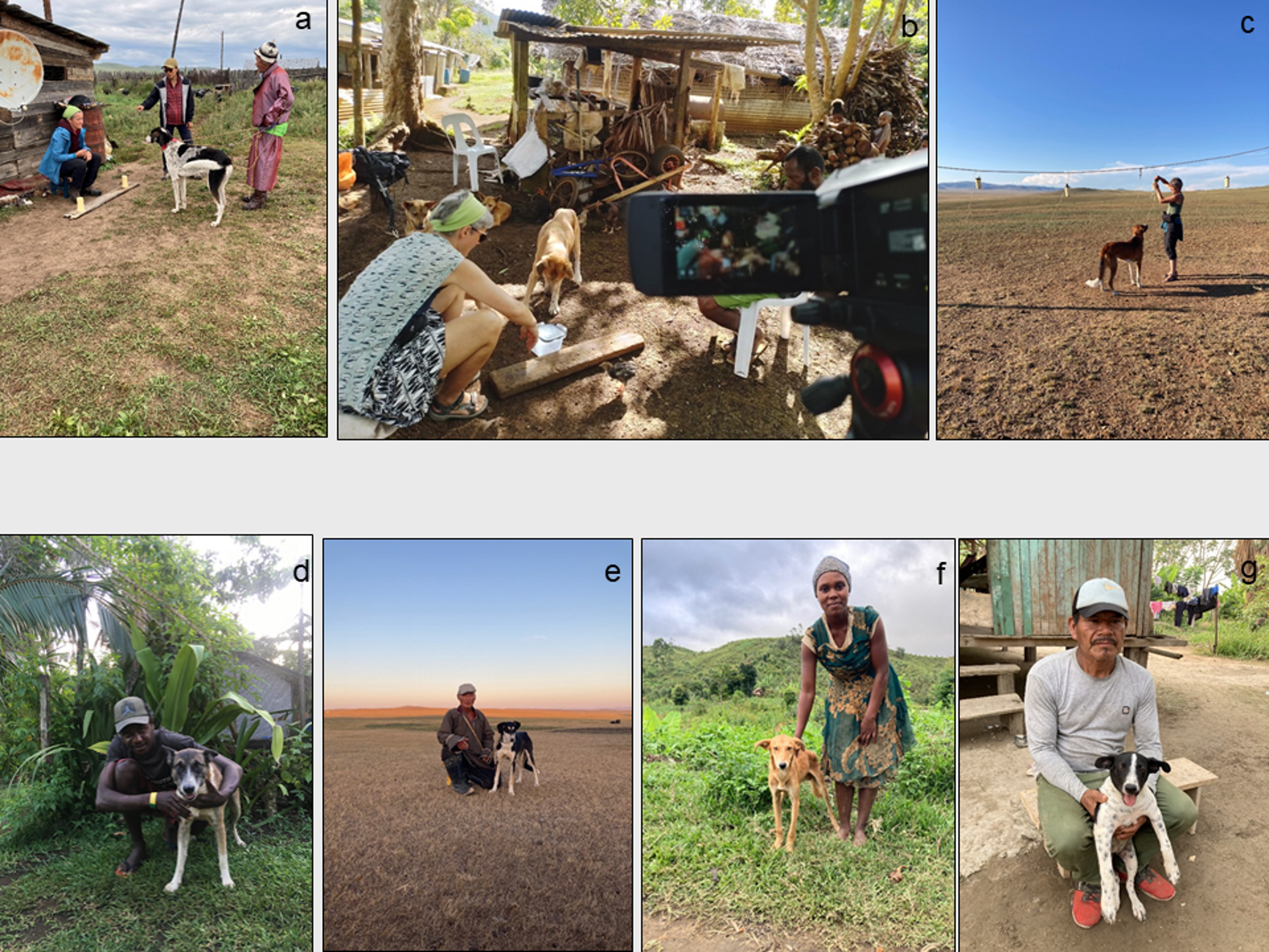 犬と人間の相互作用に世界的共通性があることを発見 （Striking Global Similarities in Interactions Between Dogs and Humans）