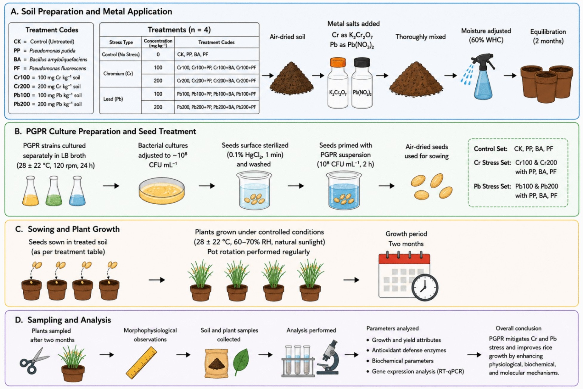 china pure l glutathione factory Plant growth-promoting rhizobacteria enhance metal tolerance in rice (Oryza sativa L.) under chromium and lead stress Foresta Organics Liver Detox