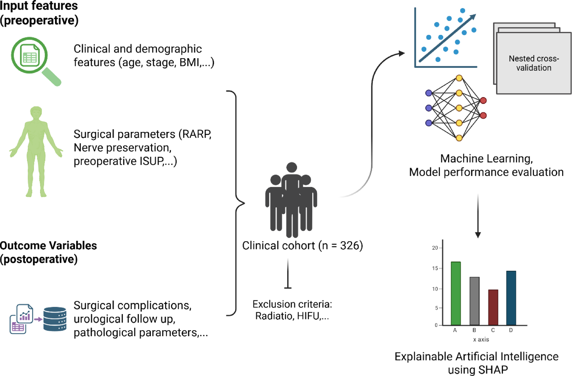 Explainable artificial intelligence reveals key surgical parameters in robot-assisted and open radical prostatectomy