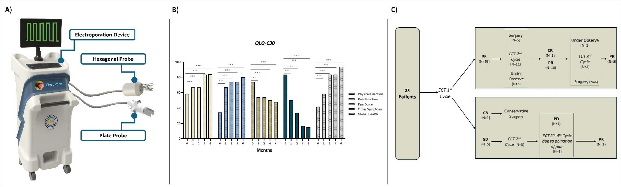 Electrochemotherapy in large and deep-seated soft tissue sarcomas: a pilot study on tumor control, limb preservation, and symptom relief - Nature