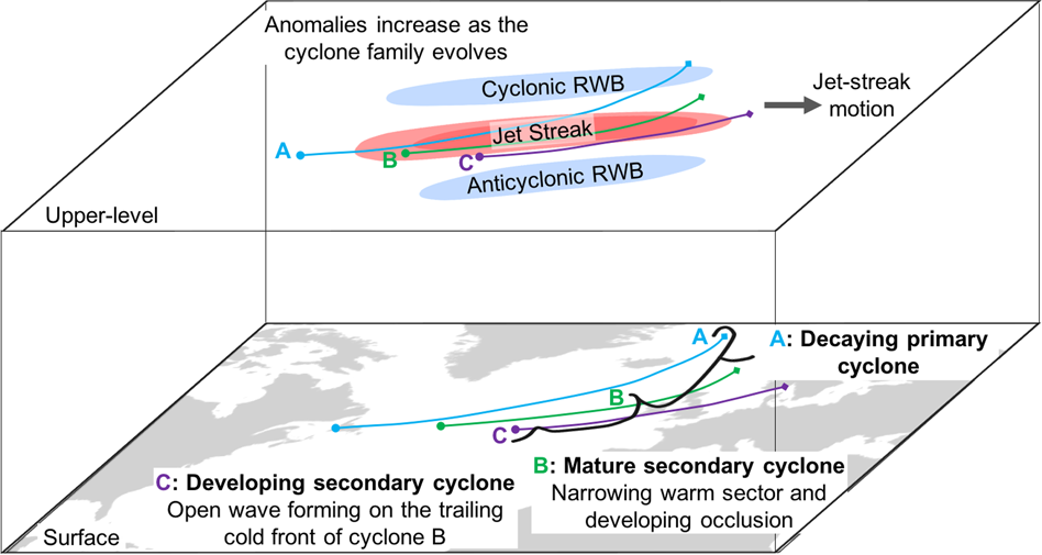 Fig. 5: Schematic linking jet and RWB anomalies to a cyclone family.