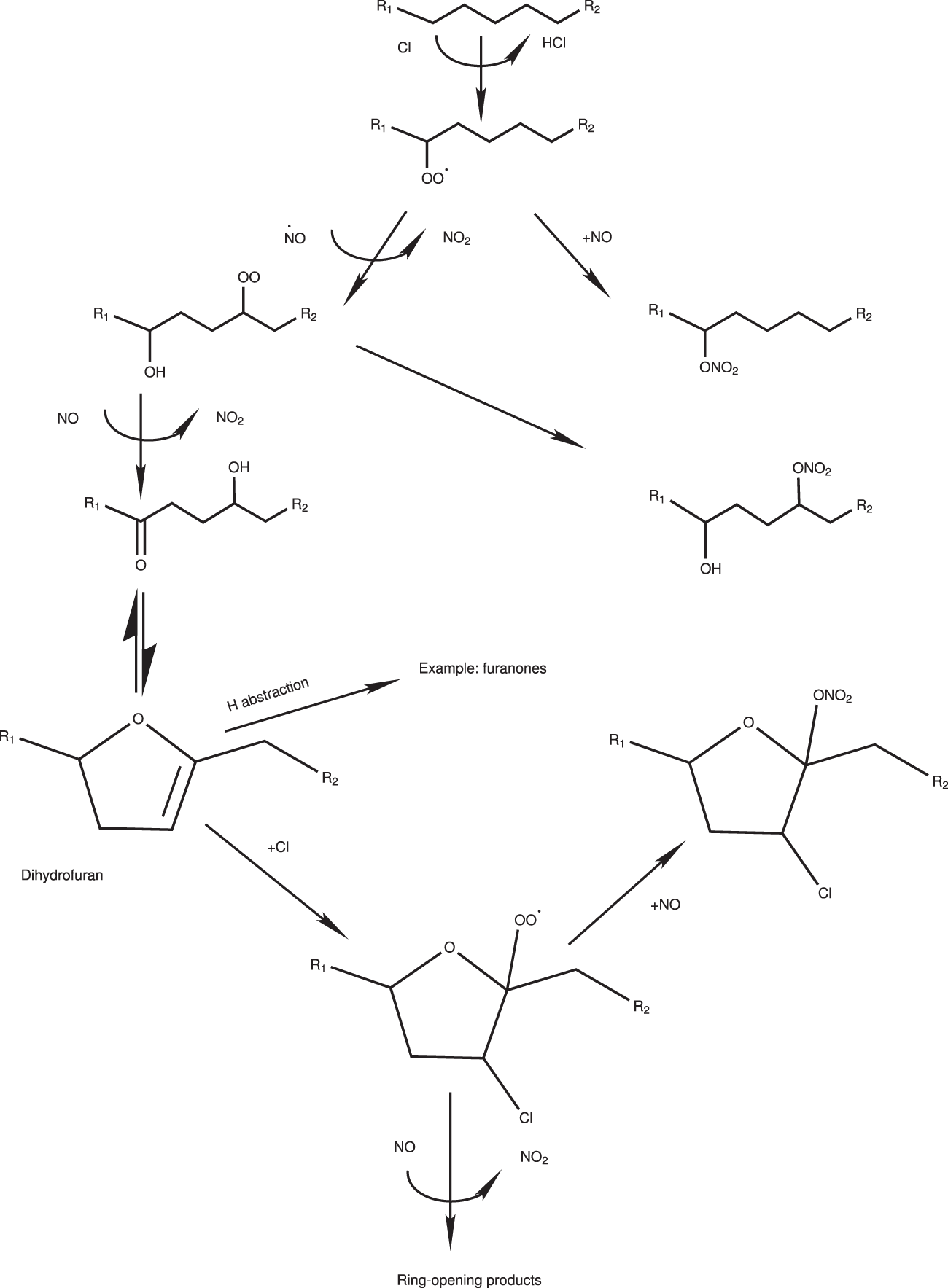 Fig. 5: Formation pathway for the reaction of alkanes with Cl atoms to form chlorinated organics.