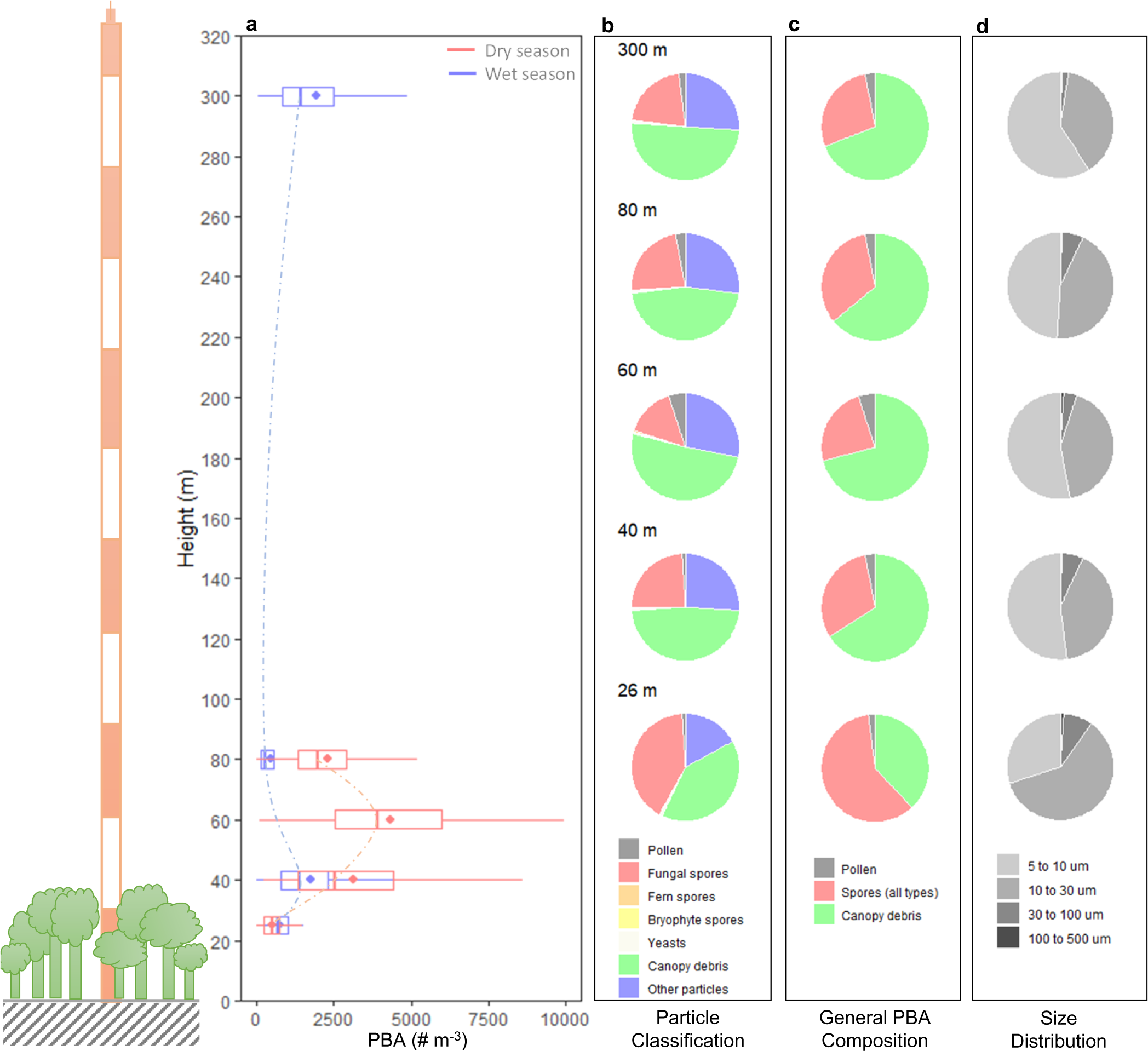 Identification and quantification of giant bioaerosol particles over the  Amazon rainforest | npj Climate and Atmospheric Science