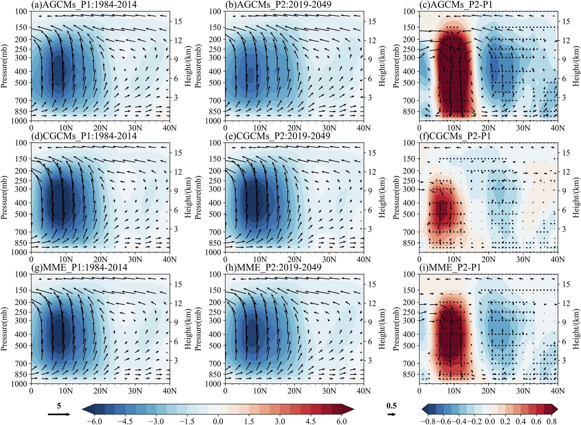Fig. 6: Meridional-vertical structure of the regional Hadley circulation.
