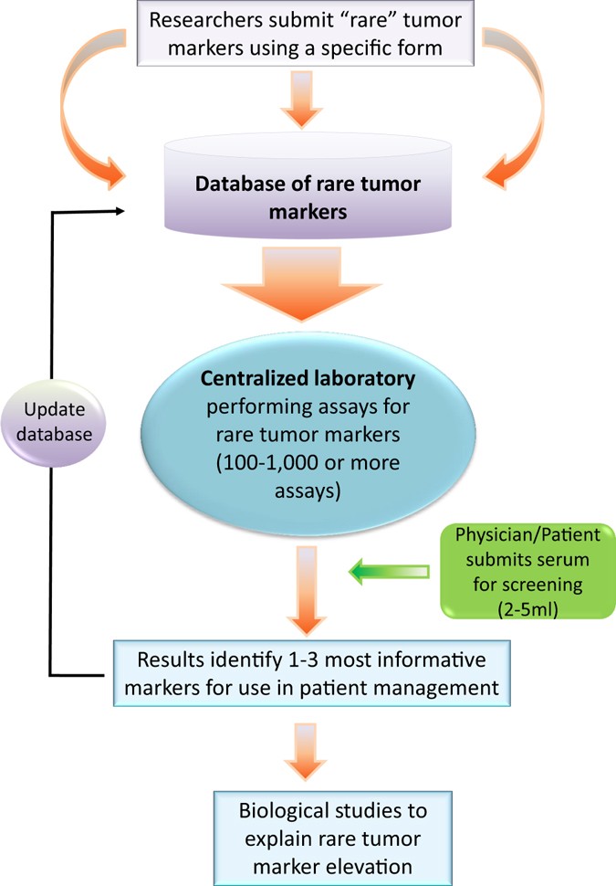 Hollow Allegations Villain Towards personalized tumor markers | npj Precision Oncology