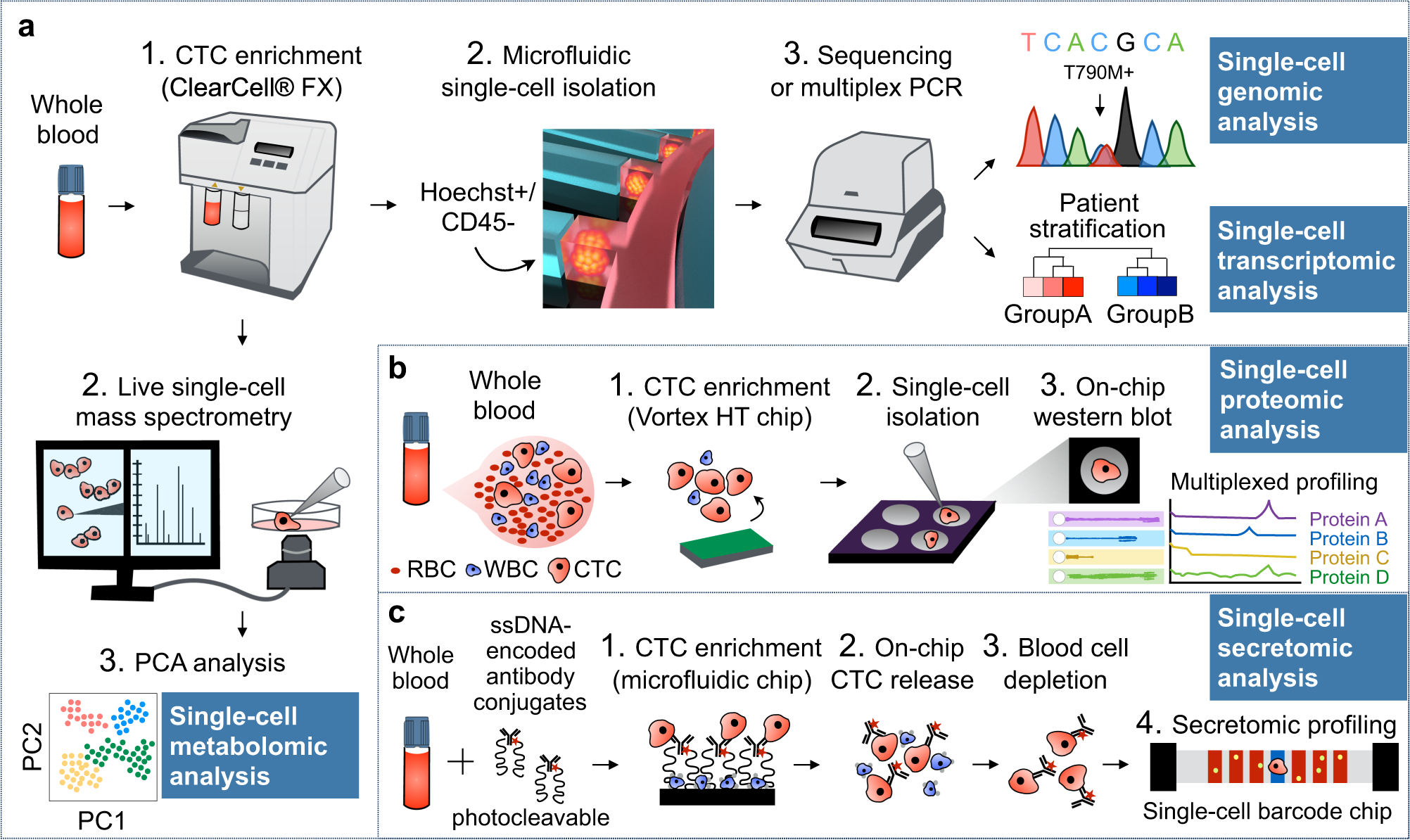 Тестирования в области геномики. E. Age analysis. Array cgh. Scientist contribution to the development of biology table.