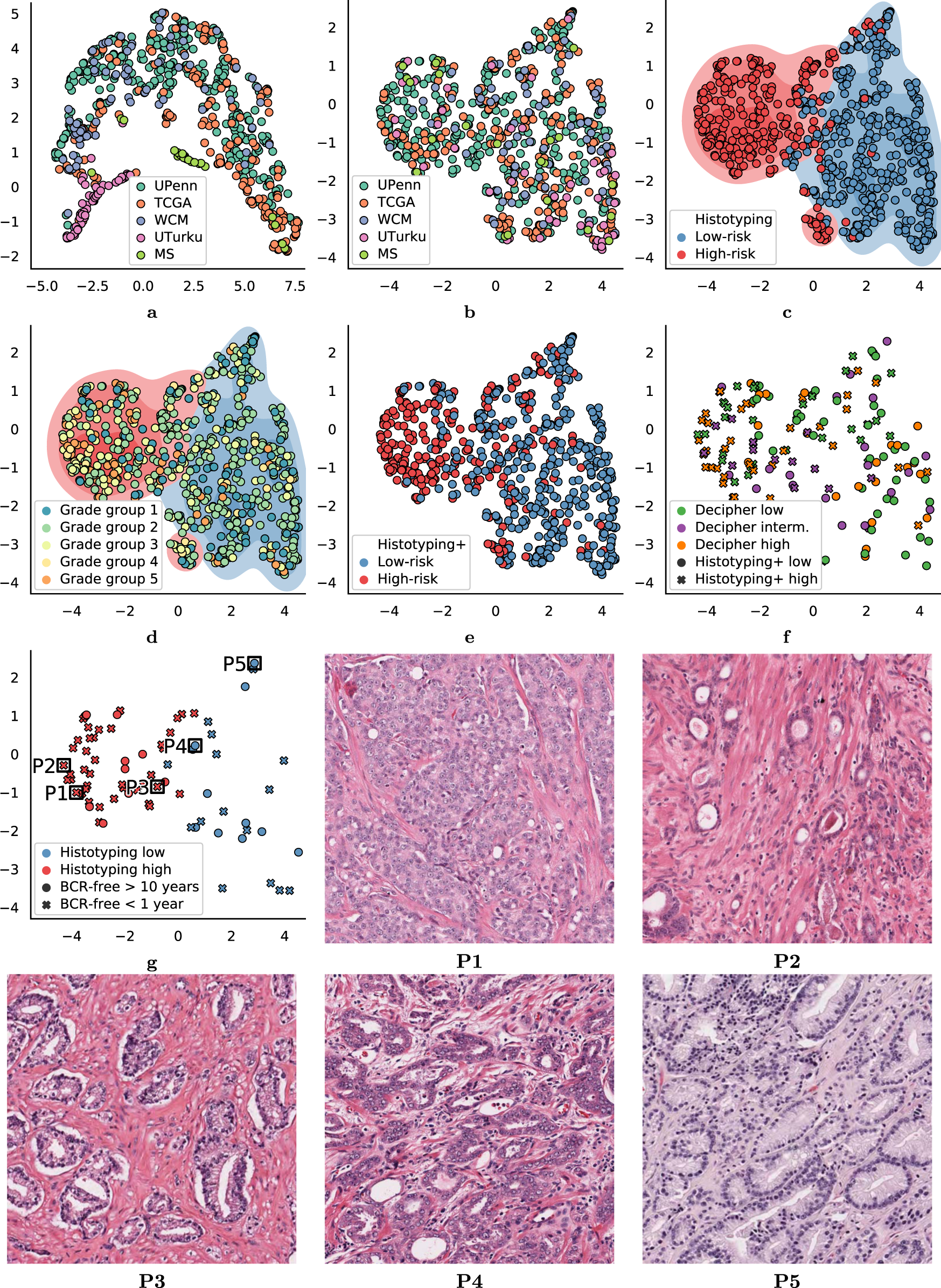 Fig. 1: UMAP embedding of image properties and Histotyping features.