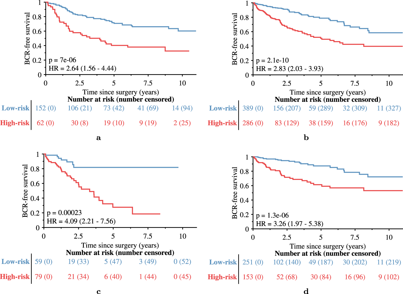 Fig. 4: Kaplan-Meier BCR-free survival plots of patients in the training and validation sets.