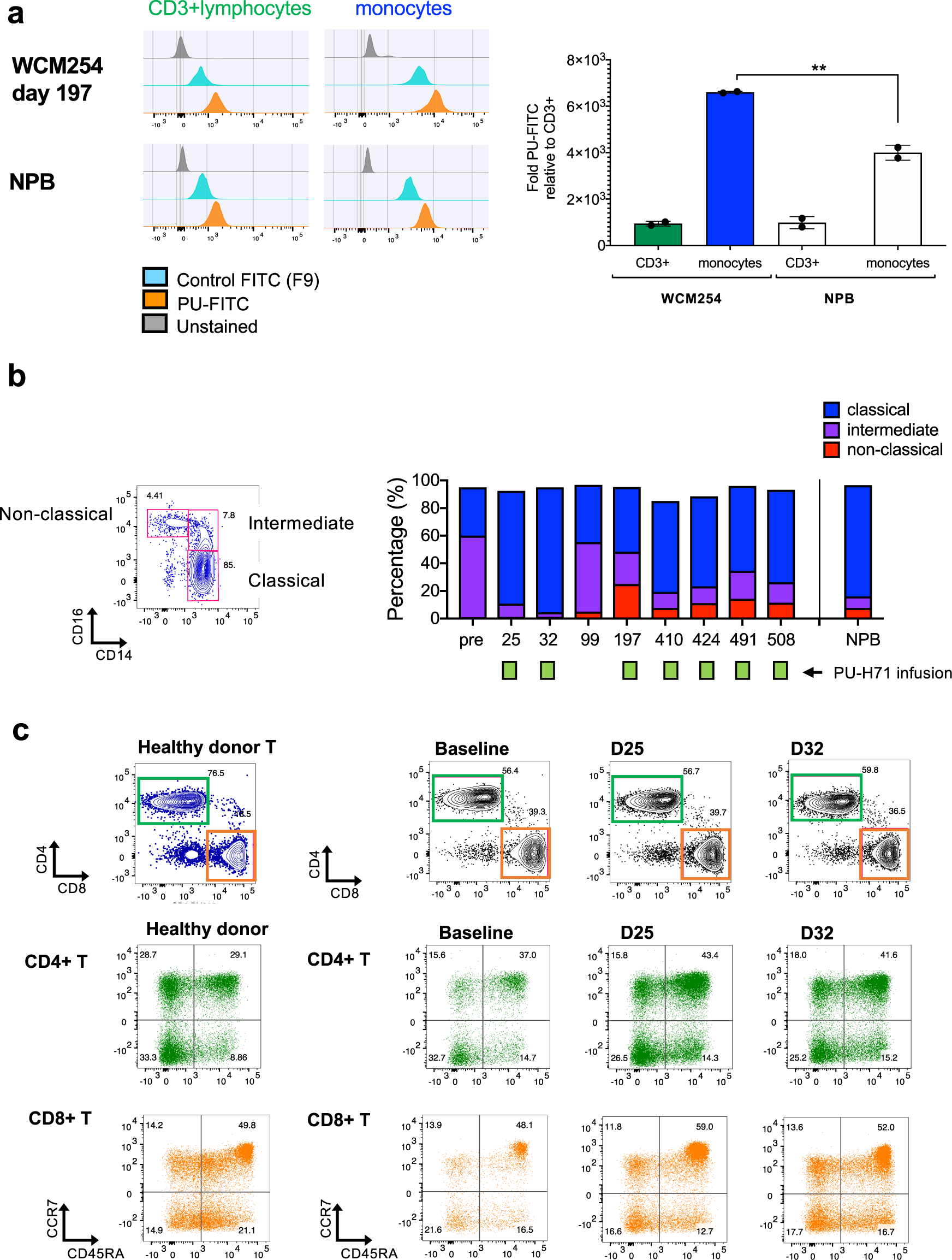 Fig. 4: Monocyte population displays epichaperome abundance and immunophenotyped changes during the course of treatment with PU-H71 while T lymphocytes are not affected.