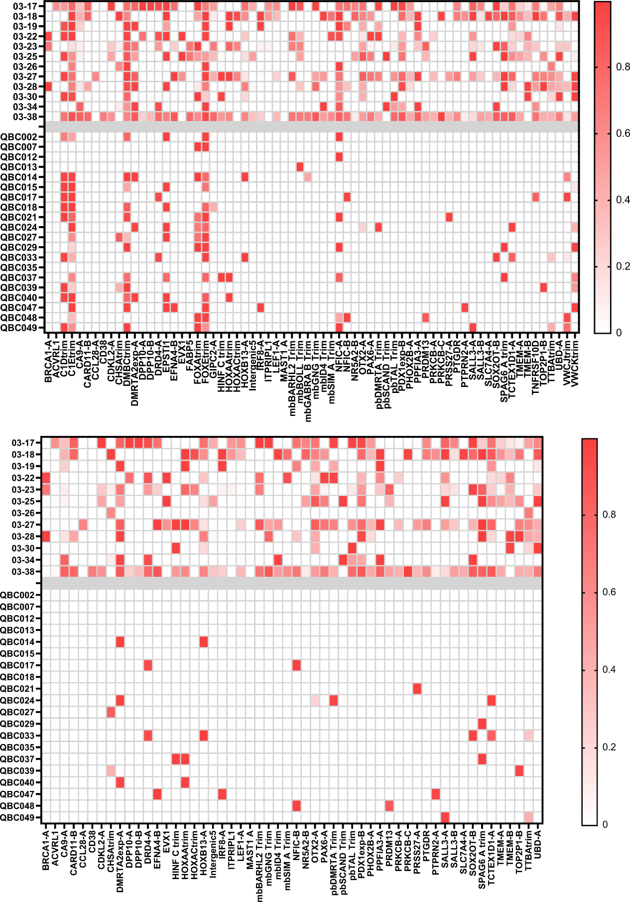 Fig. 6: Test cohort.