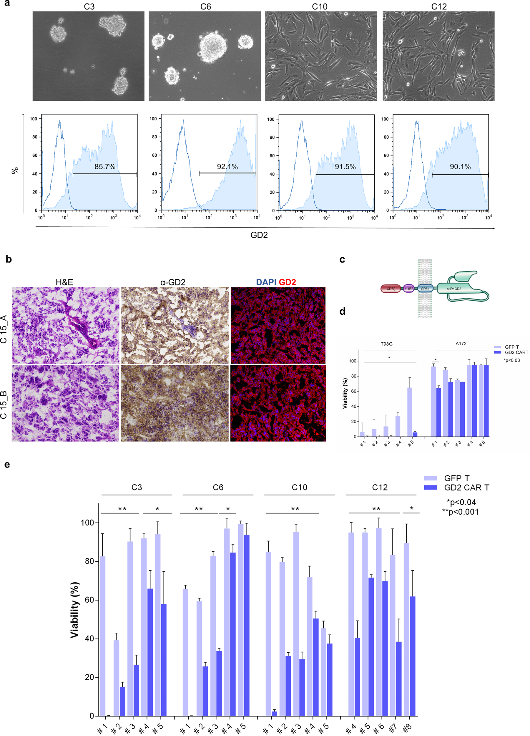 GD2 CAR T cells against human glioblastoma | npj Precision Oncology