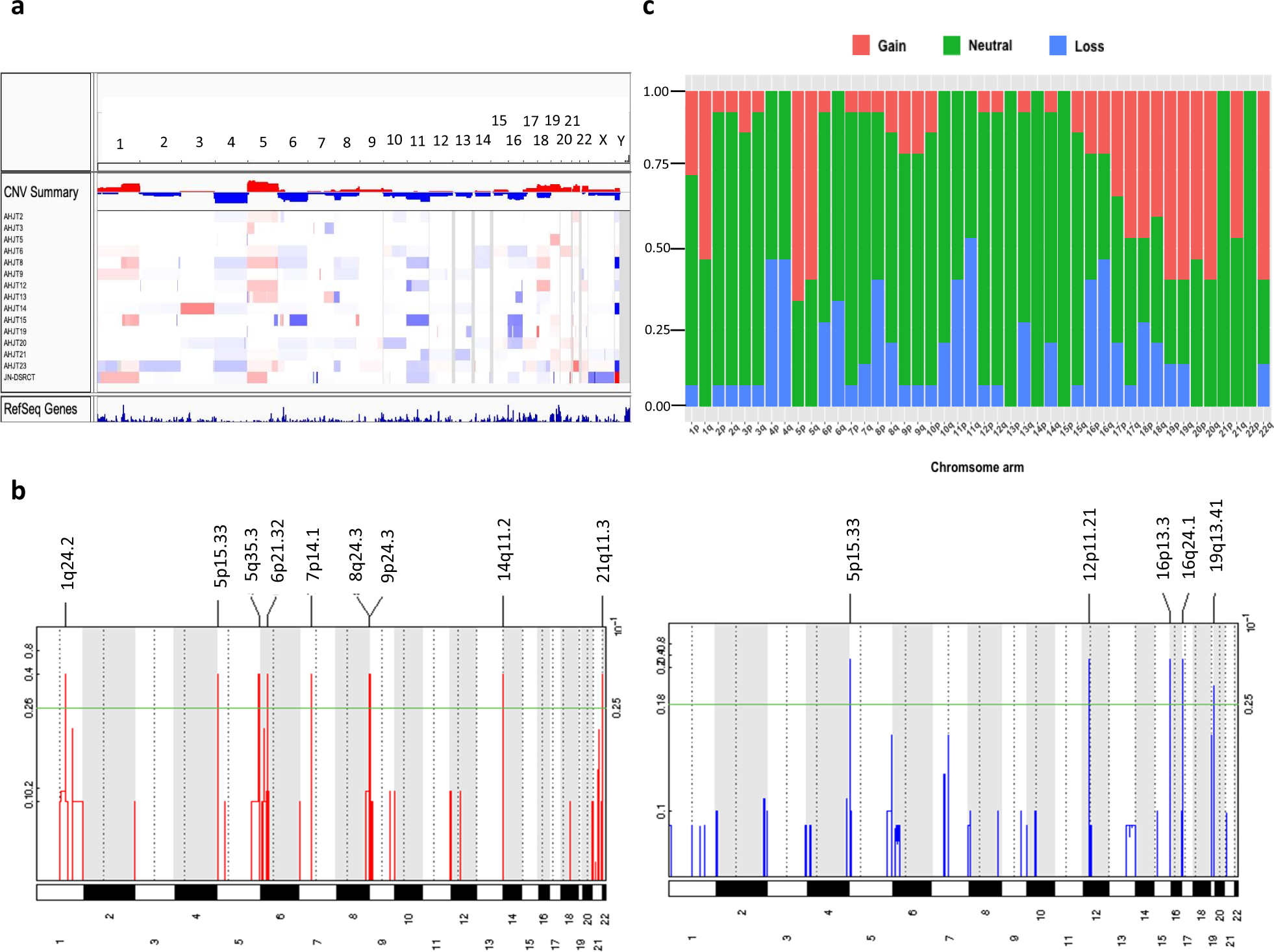 Fig. 2: Identified SCNAs in the DSRCT patients.